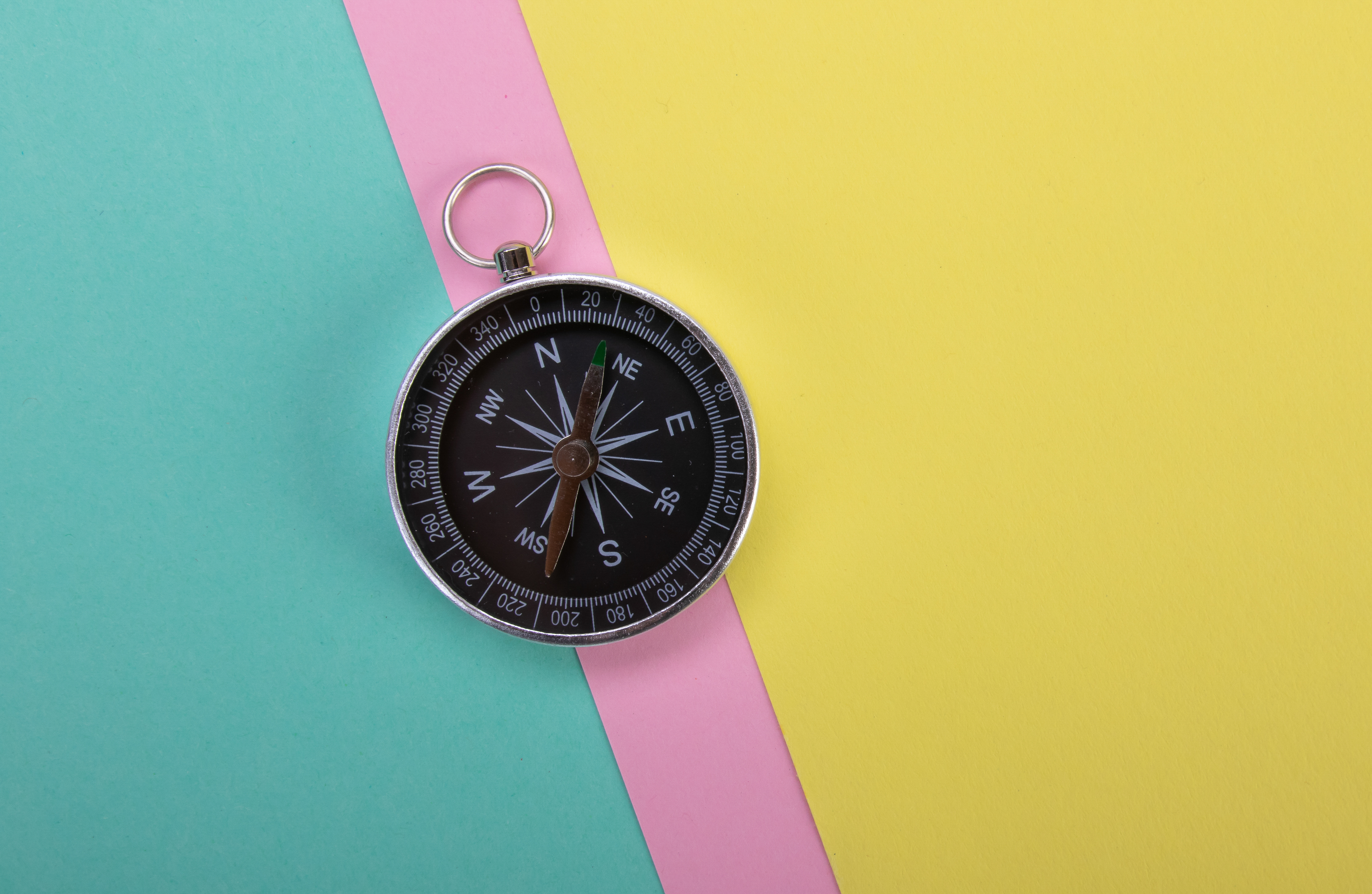Compass Navigation Wind-rose