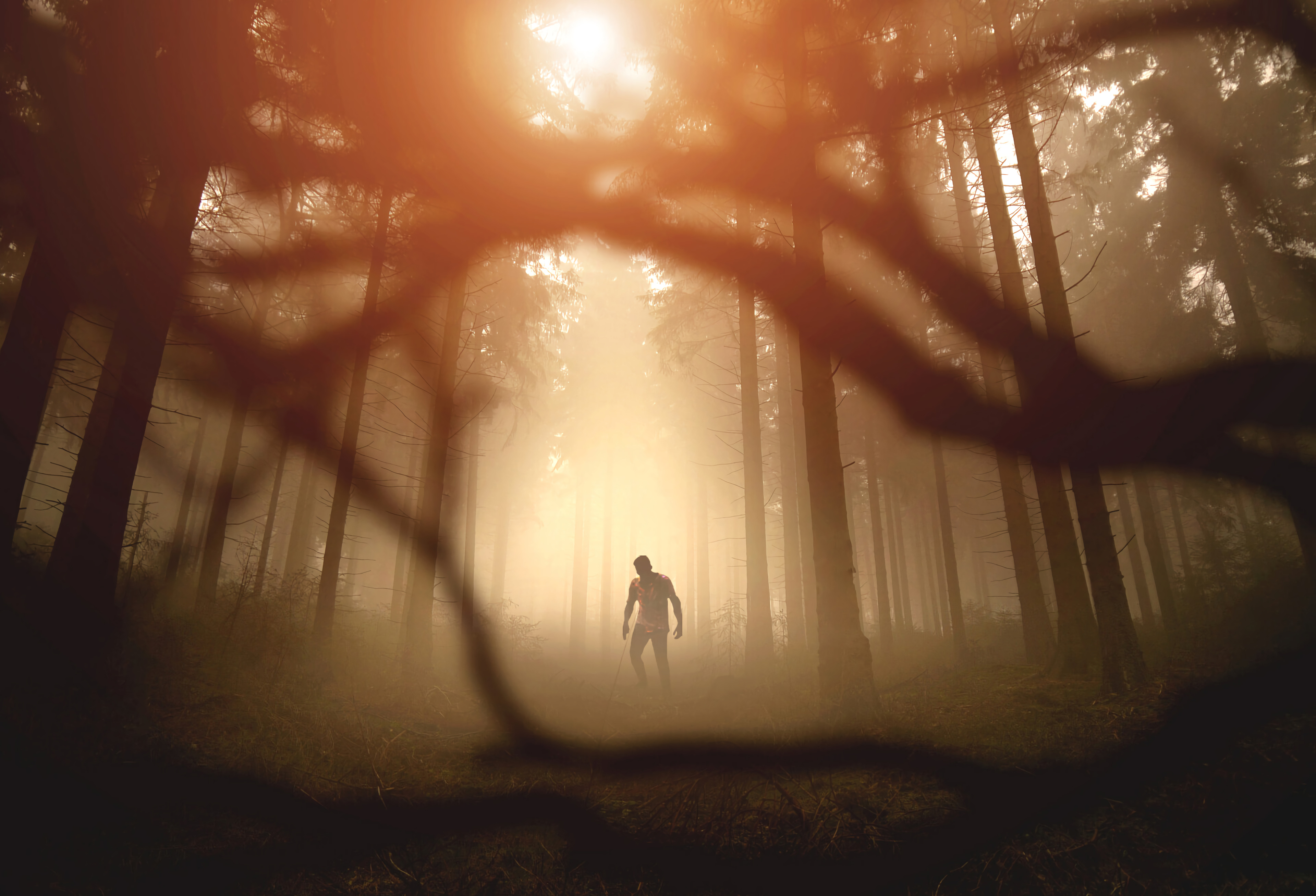 Zombie Silhouette Forest Trees Apocalypse Twilight