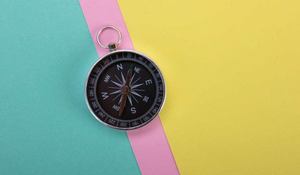Compass Navigation Wind-rose