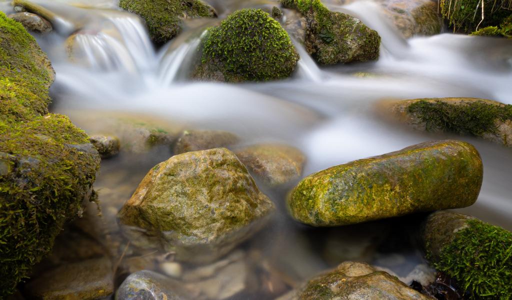 River Stream Stones Moss Water Long-exposure