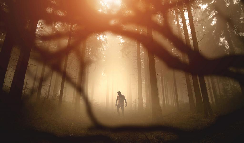 Zombie Silhouette Forest Trees Apocalypse Twilight