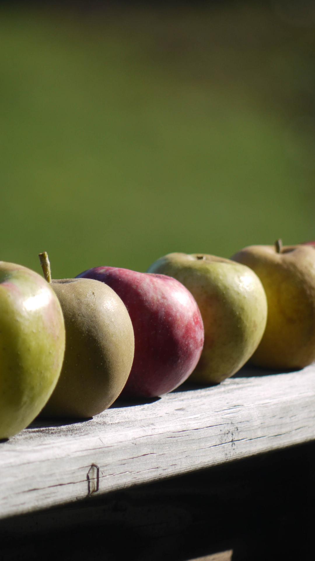 Apples Fruit Fresh Fence