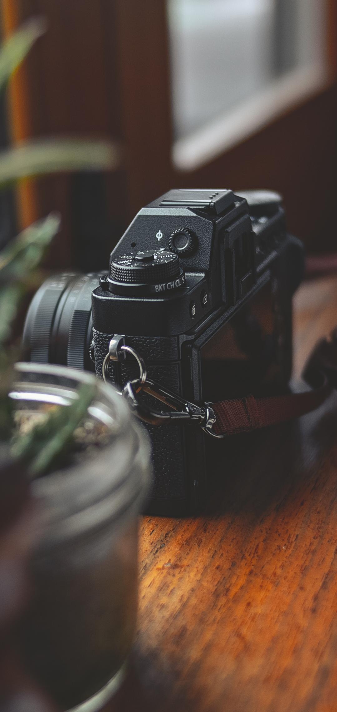Camera Plants Table Aesthetics