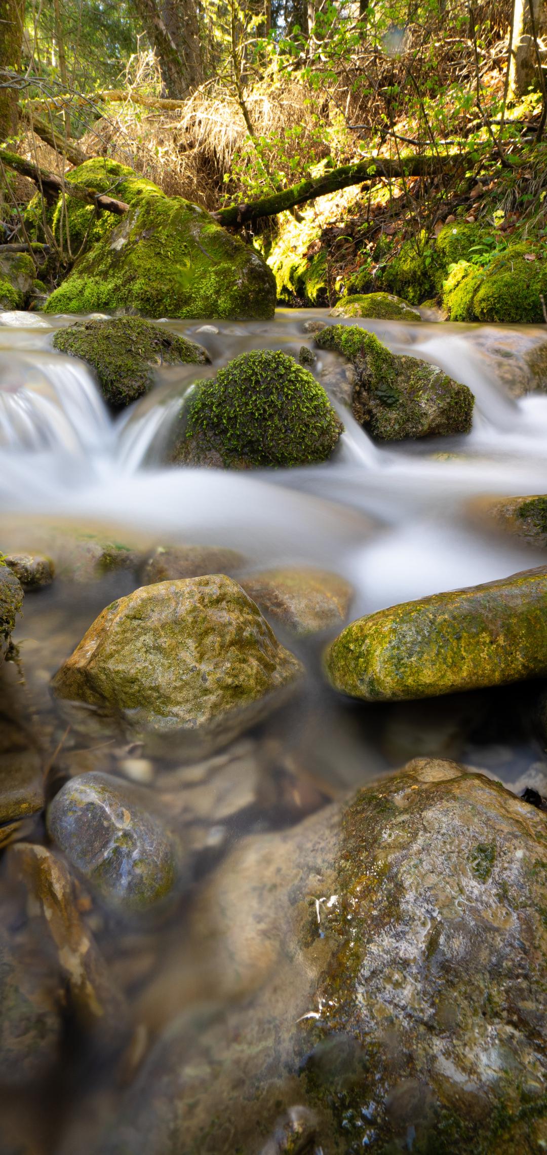 River Stream Stones Moss Water Long-exposure