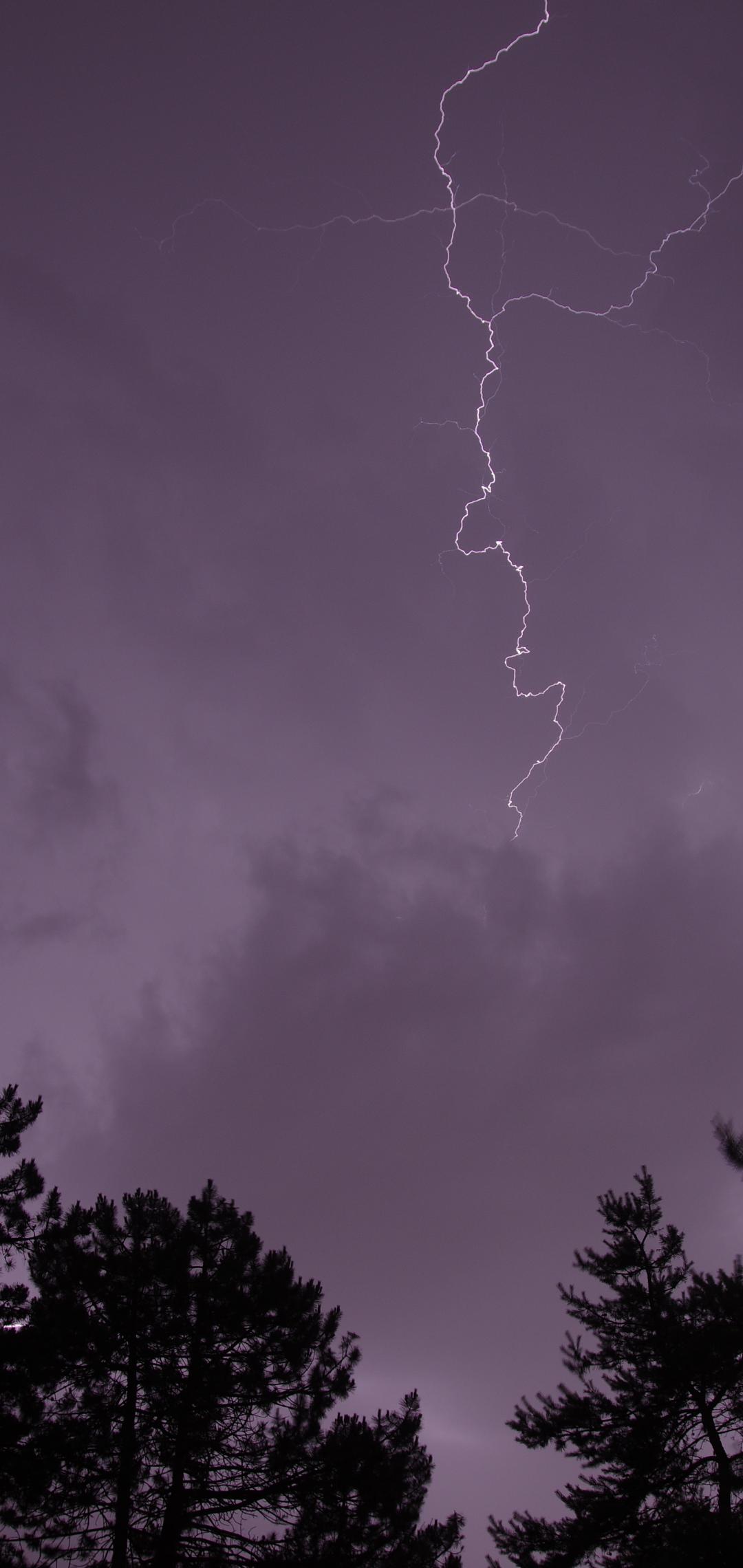 Trees Silhouettes Thunderstorm Lightning Dark
