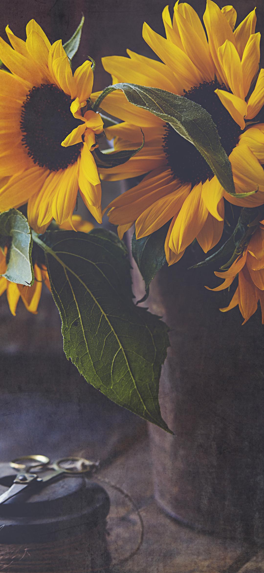 Sunflowers Flowers Bouquet Floristry