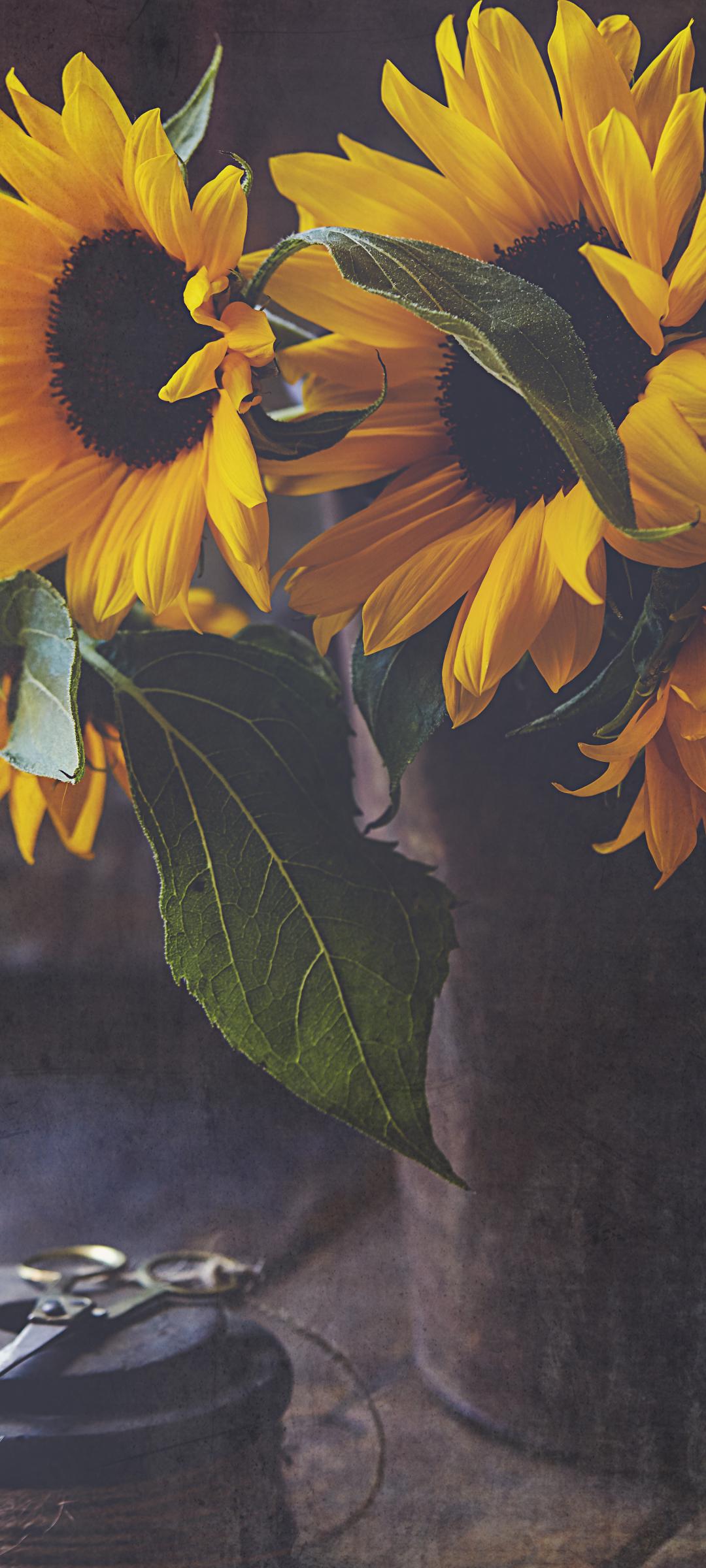 Sunflowers Flowers Bouquet Floristry