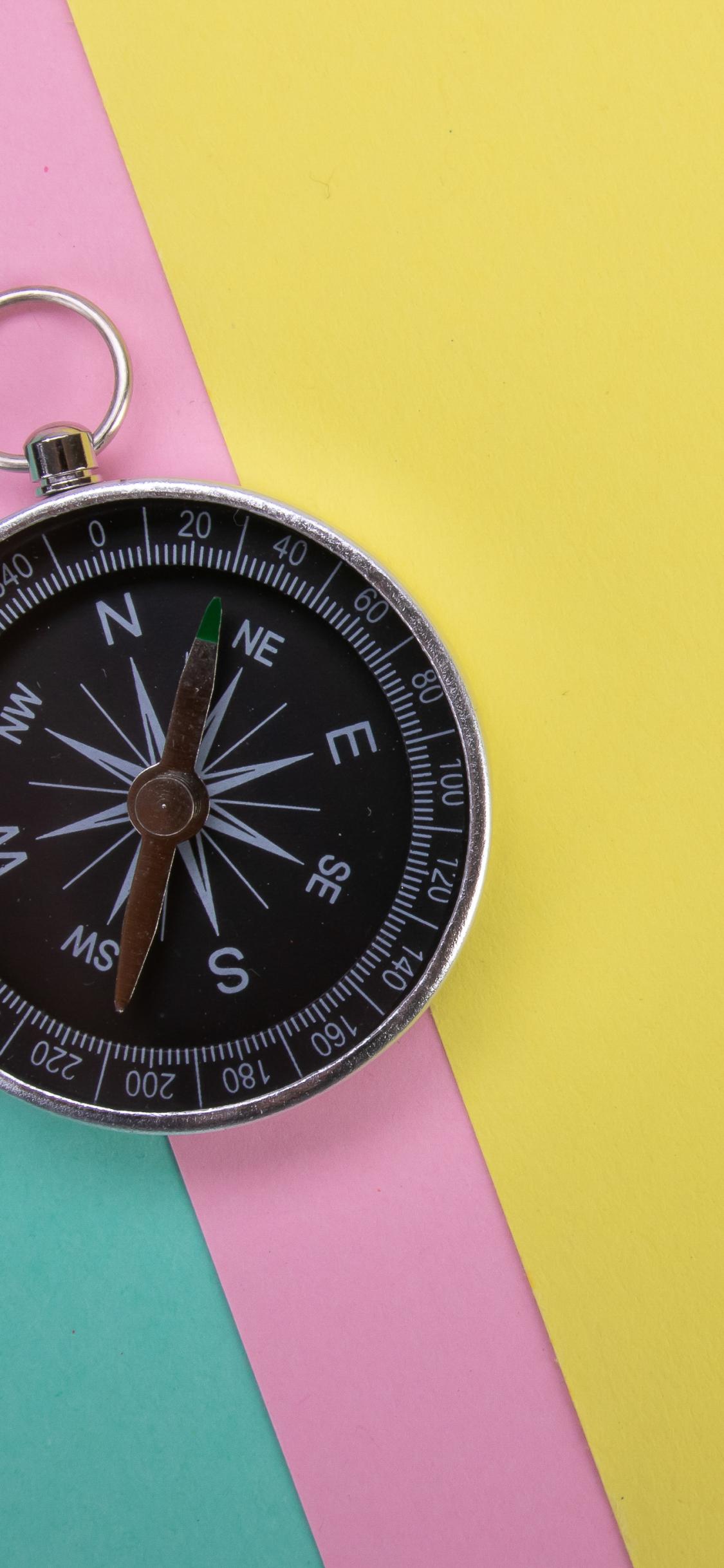 Compass Navigation Wind-rose
