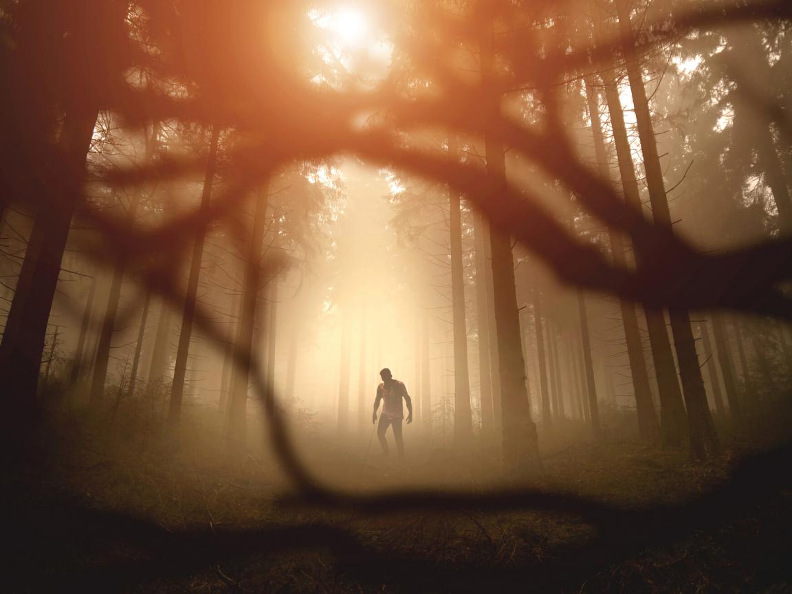 Zombie Silhouette Forest Trees Apocalypse Twilight