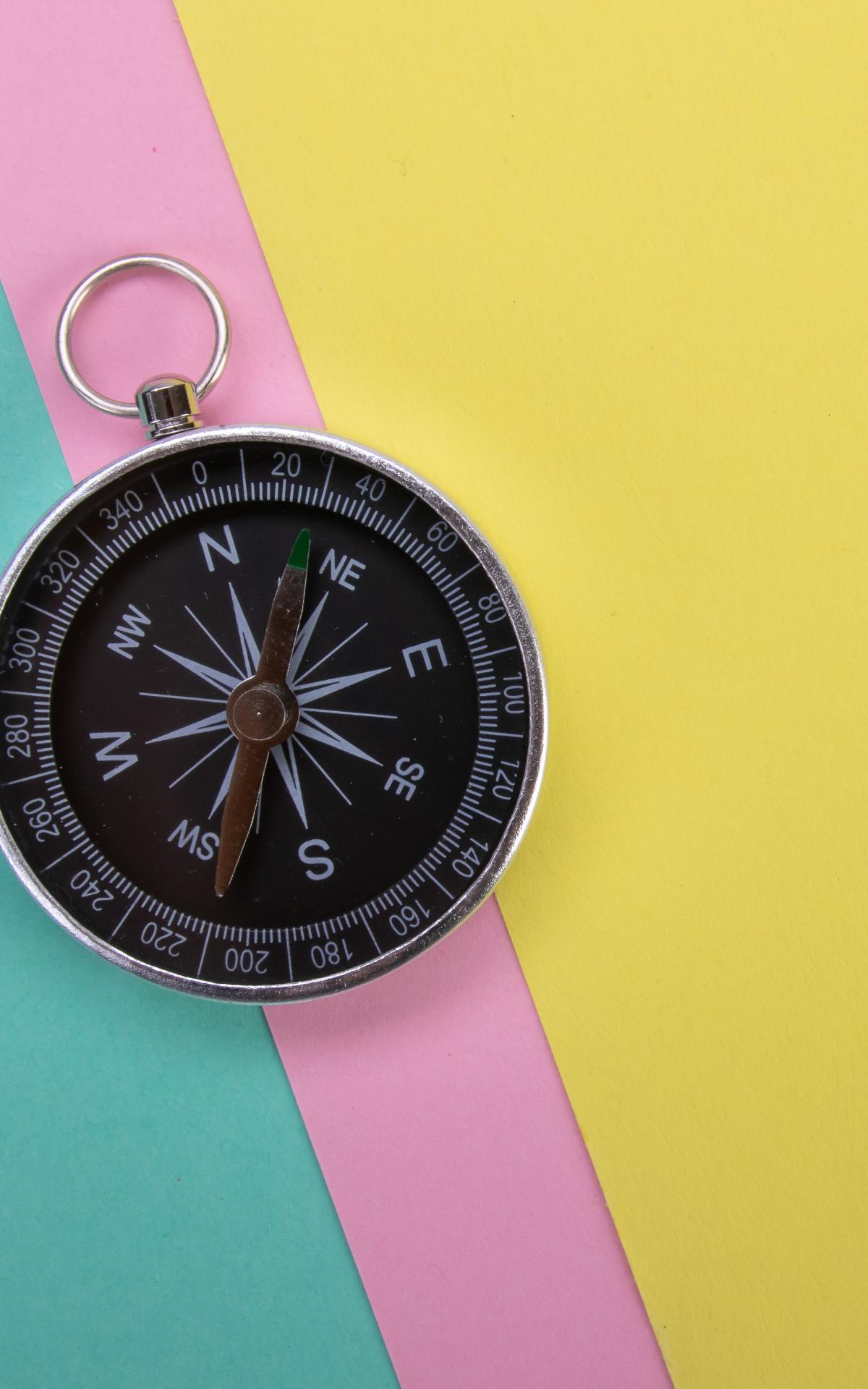Compass Navigation Wind-rose