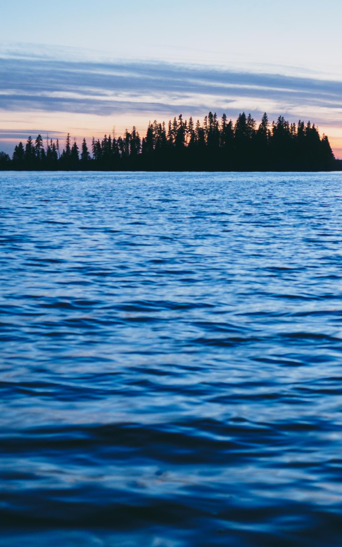 Forest Trees Silhouettes Water Waves Landscape