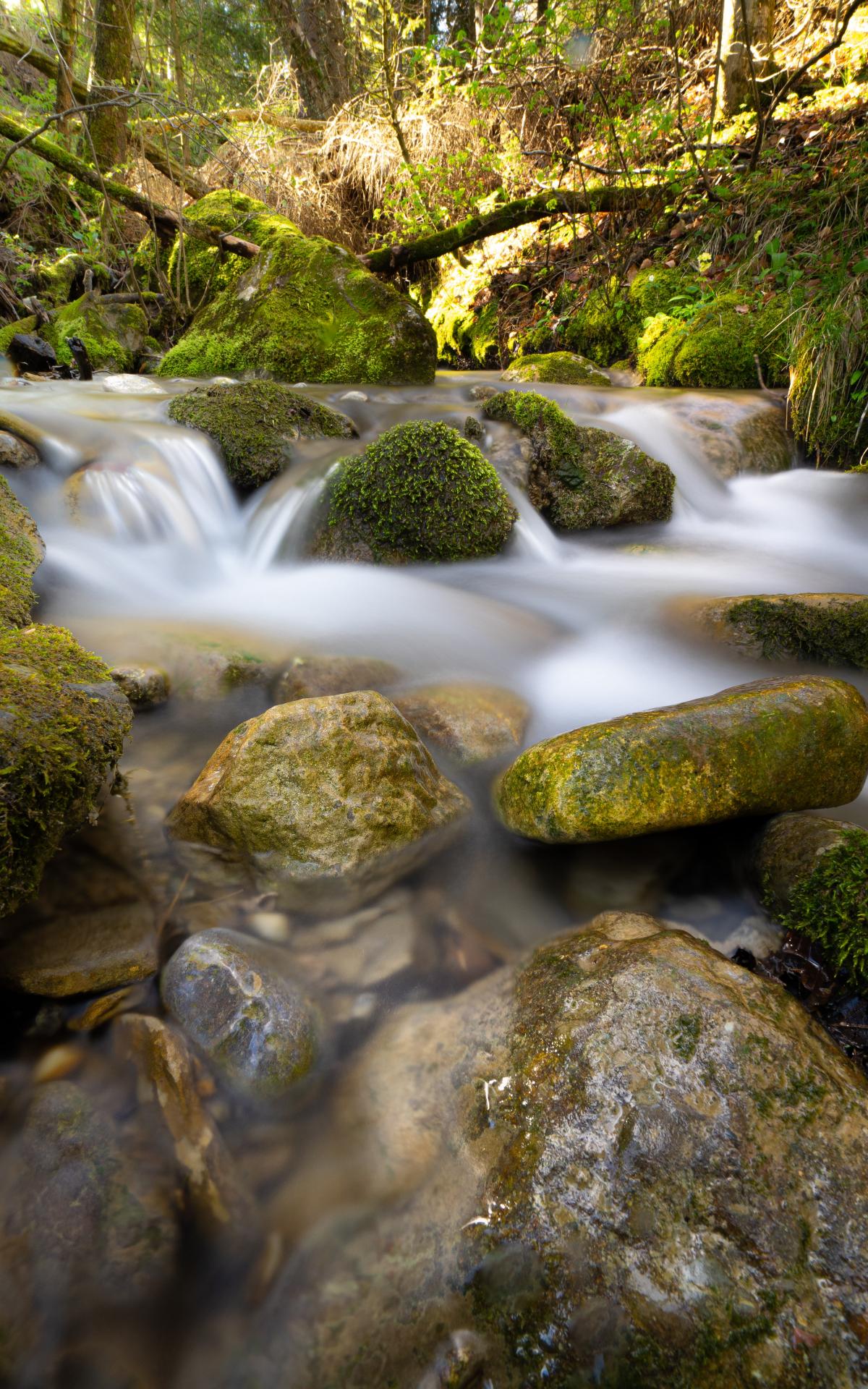 River Stream Stones Moss Water Long-exposure
