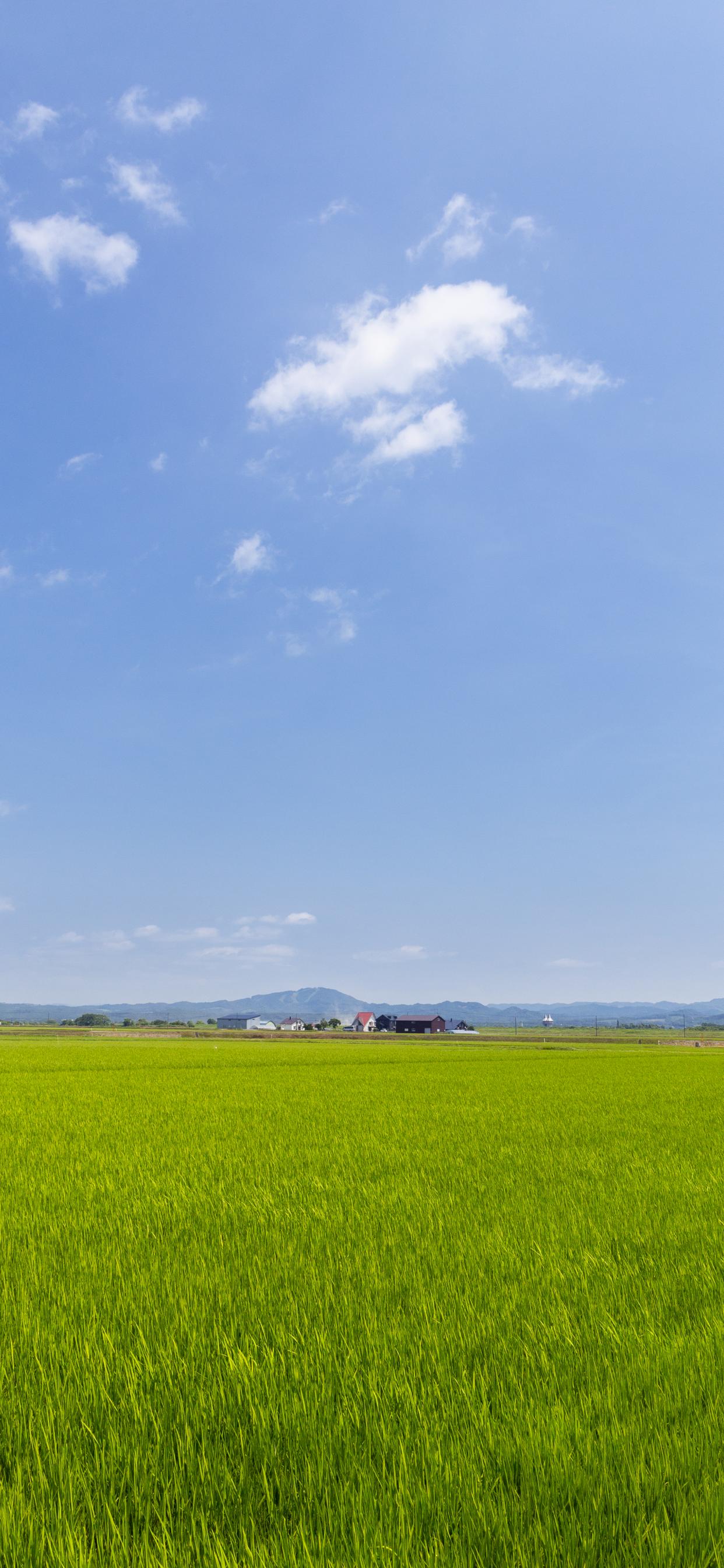 Field Grass Houses Landscape Nature Minimalism