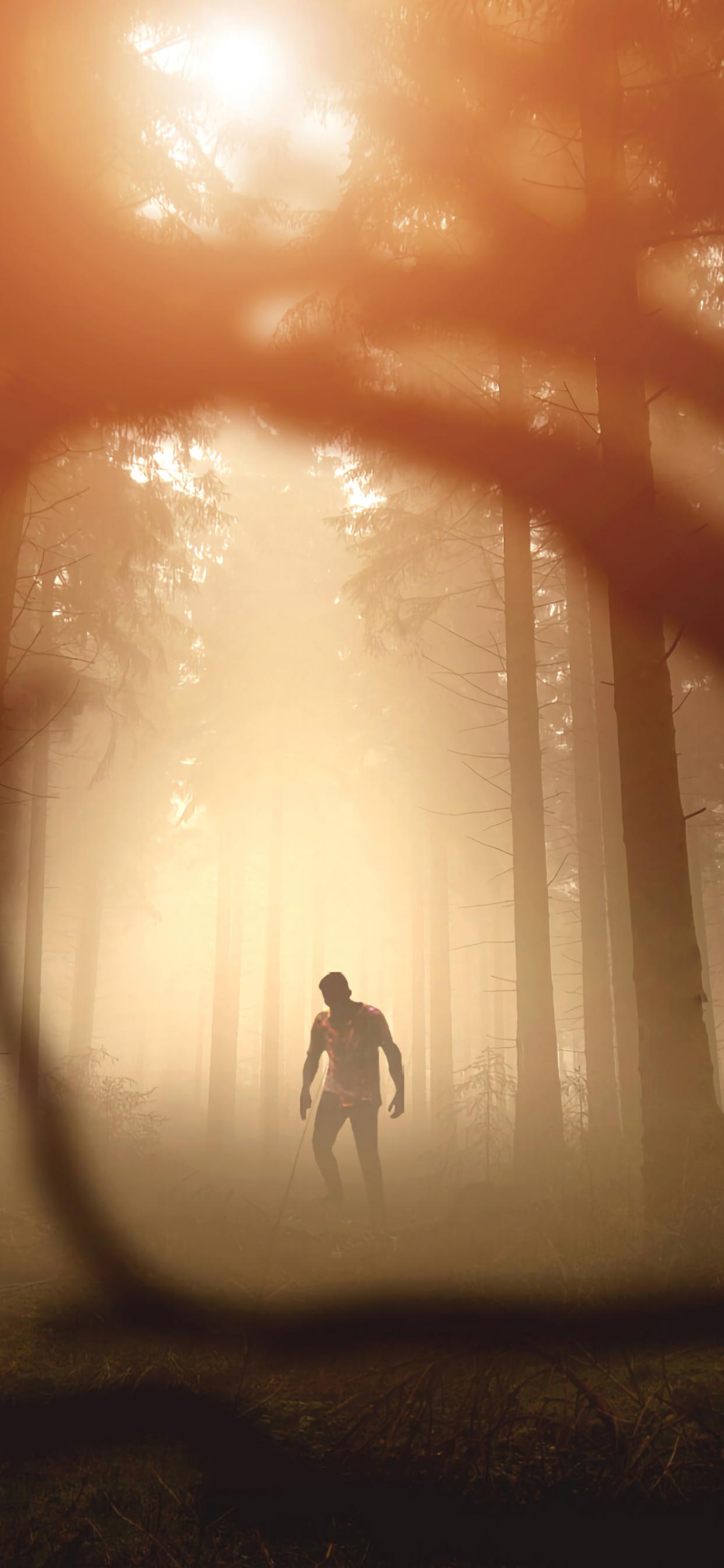 Zombie Silhouette Forest Trees Apocalypse Twilight
