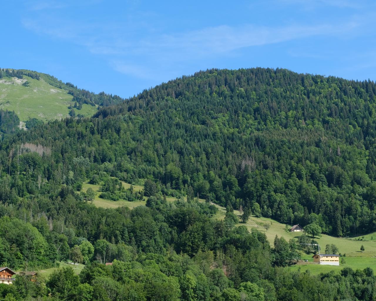 Hills Forest Trees Nature Landscape Aerial-view