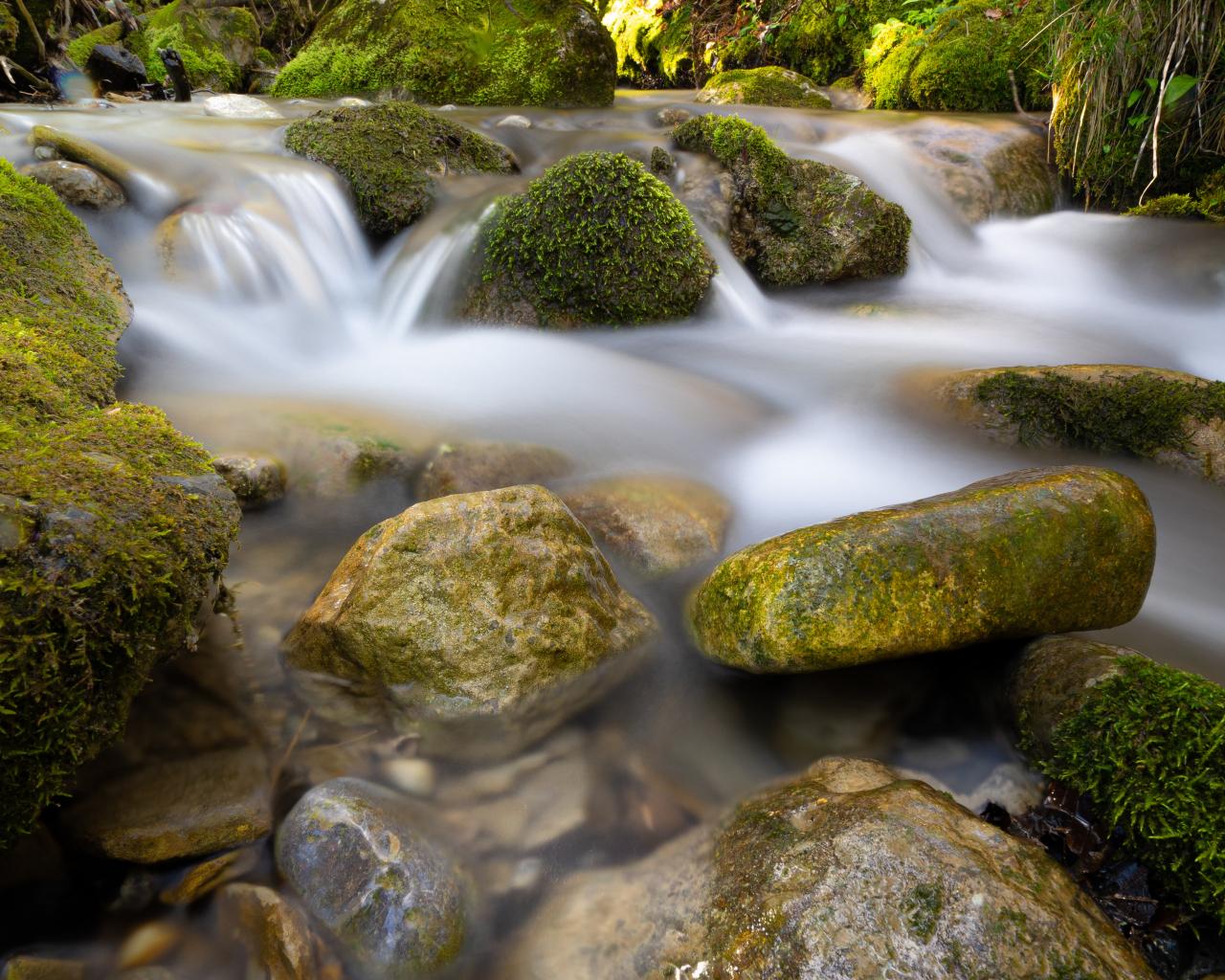 River Stream Stones Moss Water Long-exposure