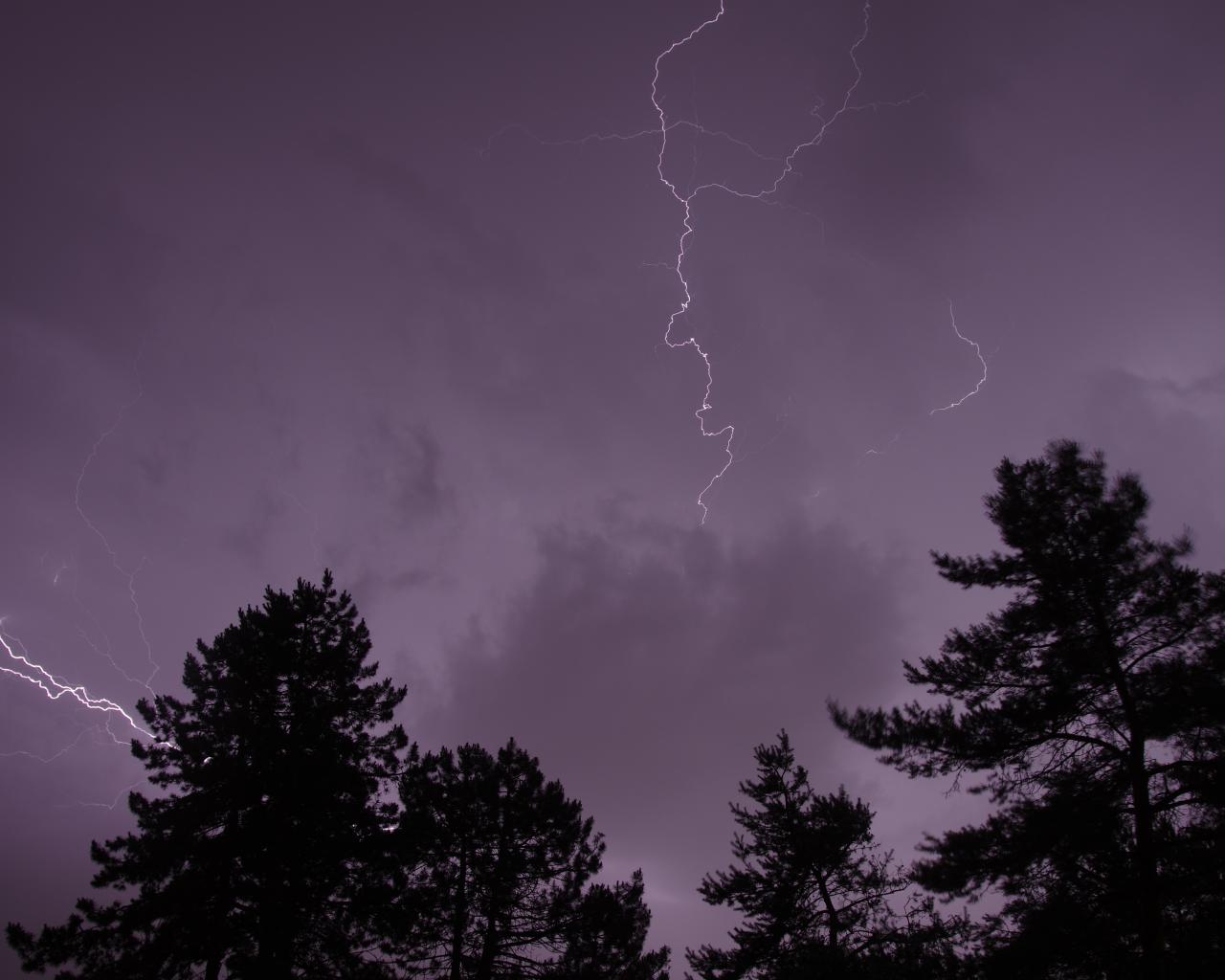 Trees Silhouettes Thunderstorm Lightning Dark
