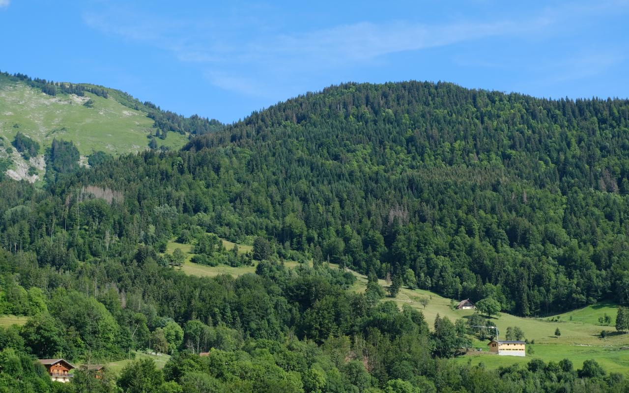 Hills Forest Trees Nature Landscape Aerial-view