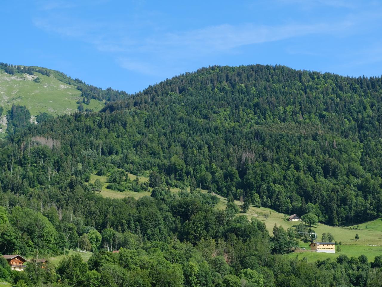 Hills Forest Trees Nature Landscape Aerial-view