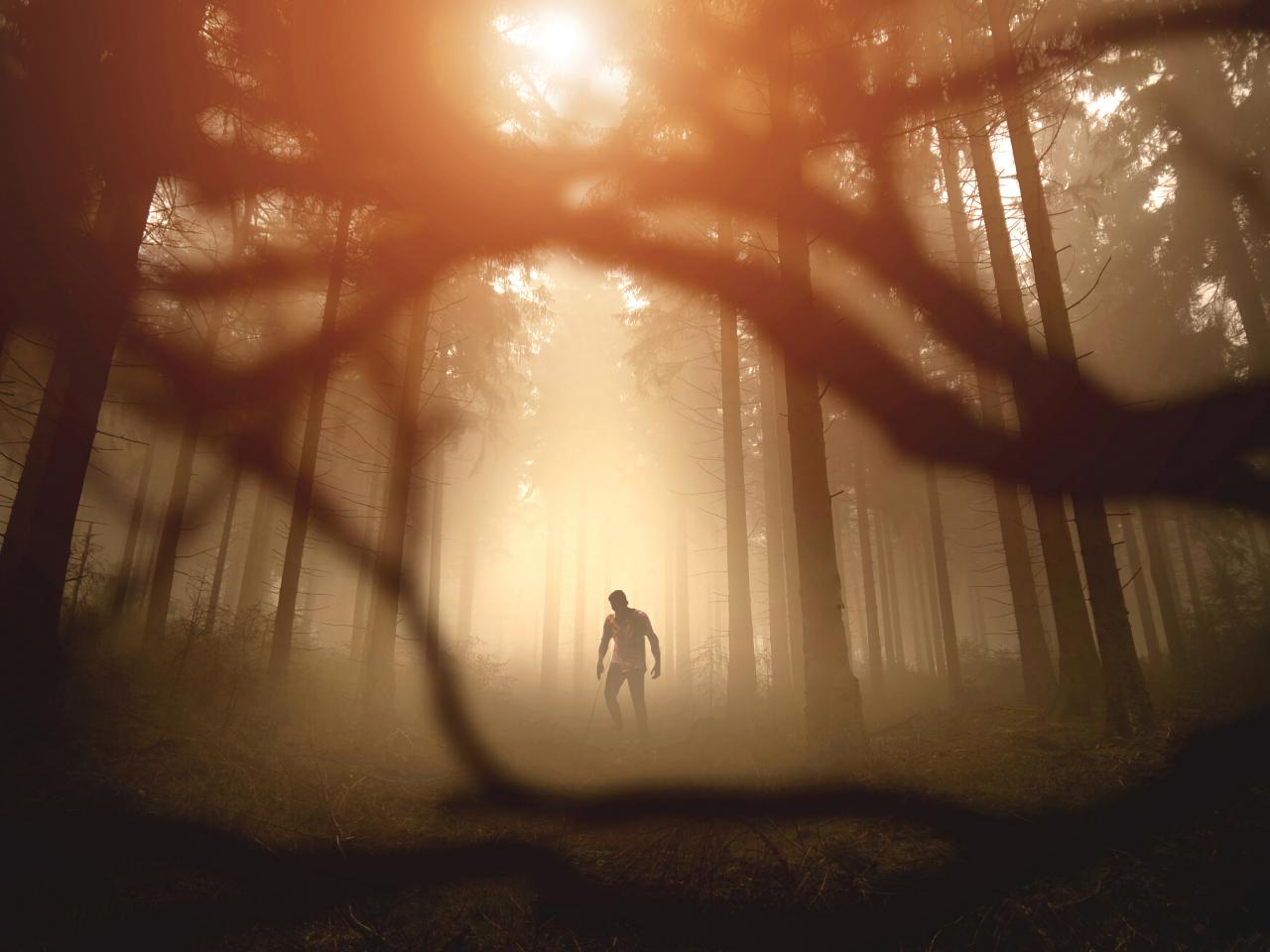 Zombie Silhouette Forest Trees Apocalypse Twilight