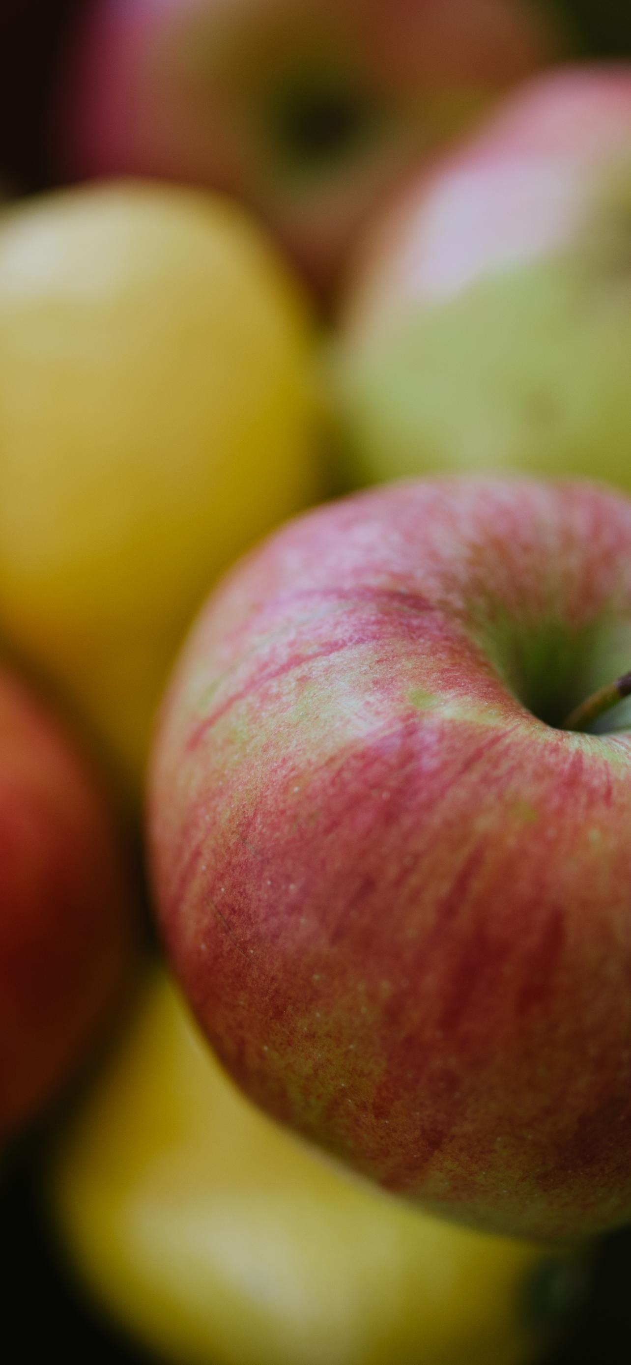 Apples Fruit Fresh Bowl