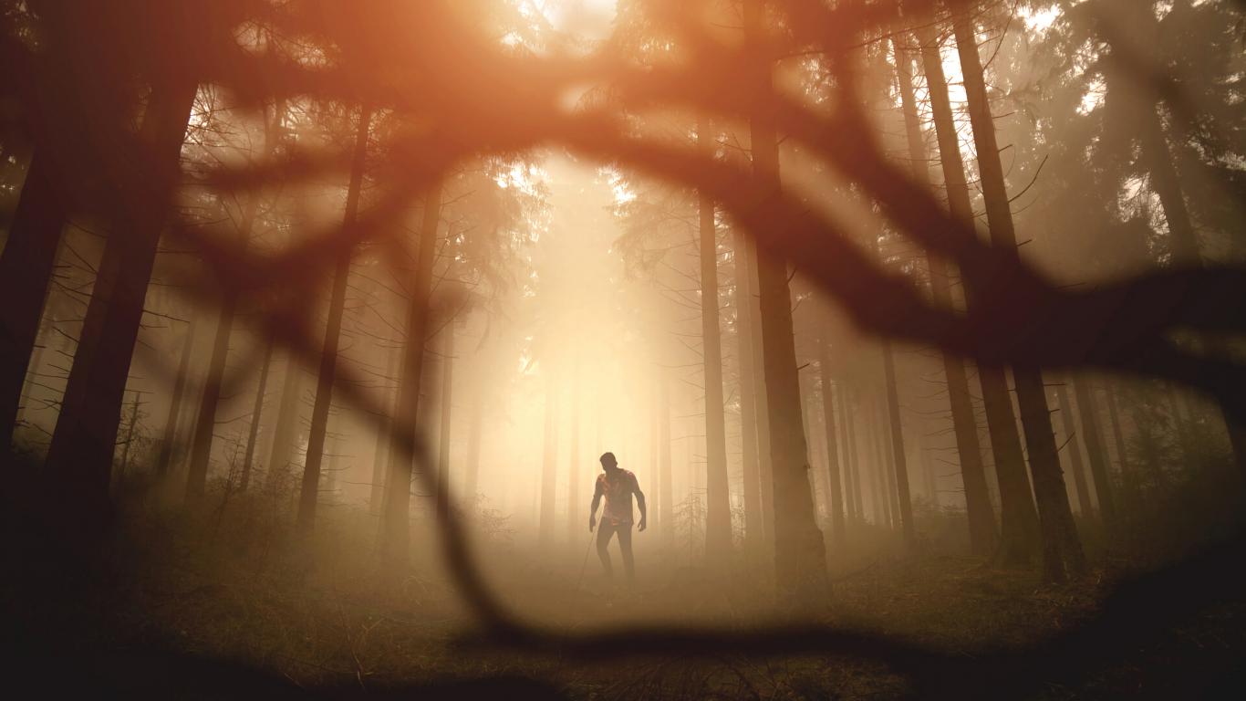 Zombie Silhouette Forest Trees Apocalypse Twilight