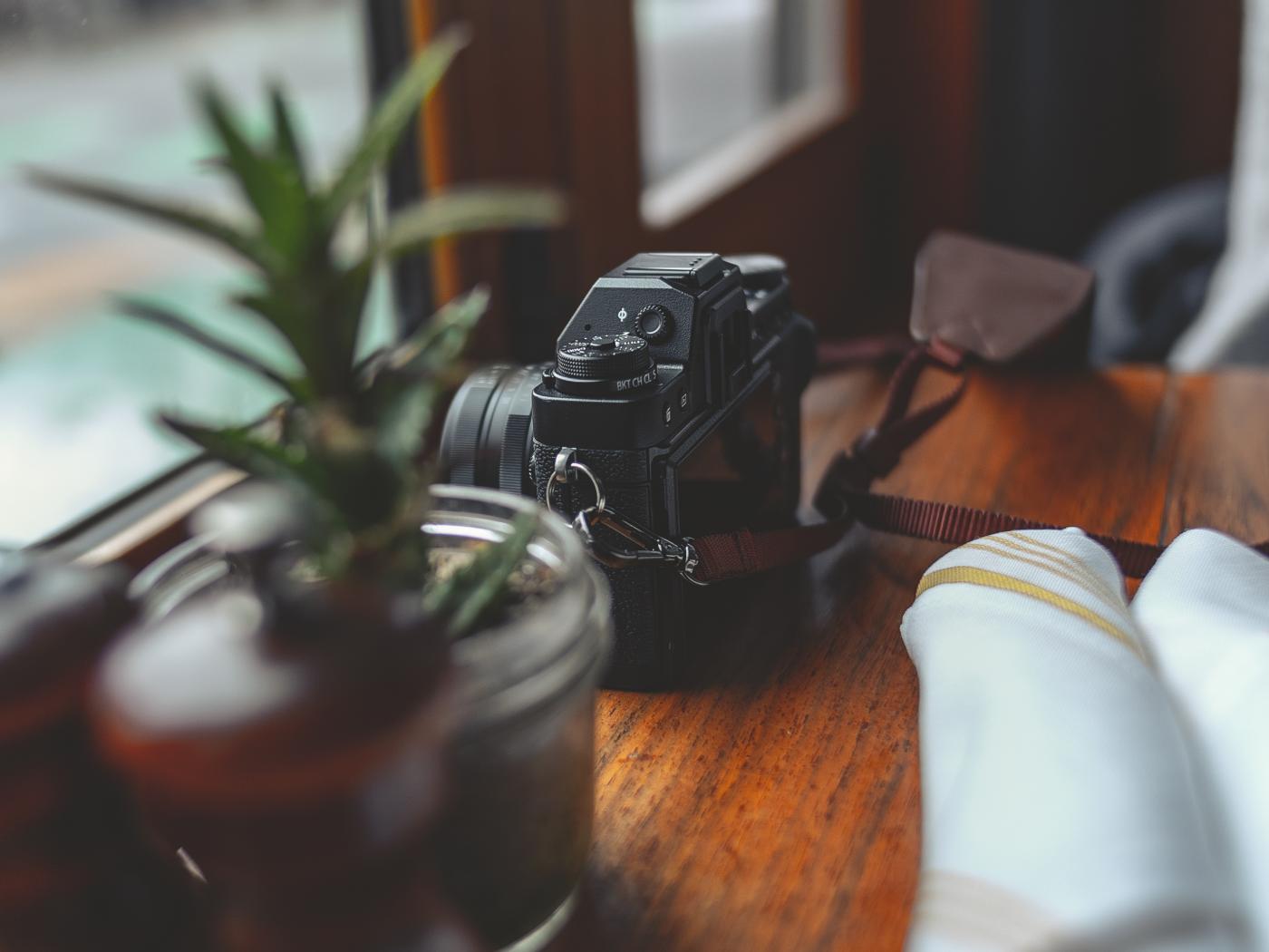 Camera Plants Table Aesthetics