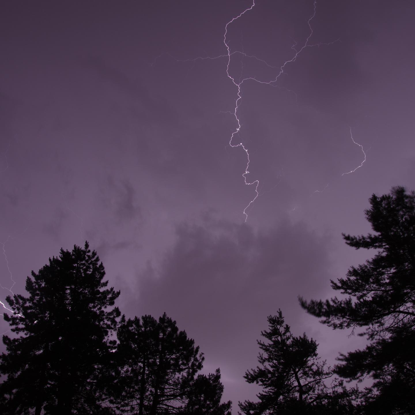 Trees Silhouettes Thunderstorm Lightning Dark