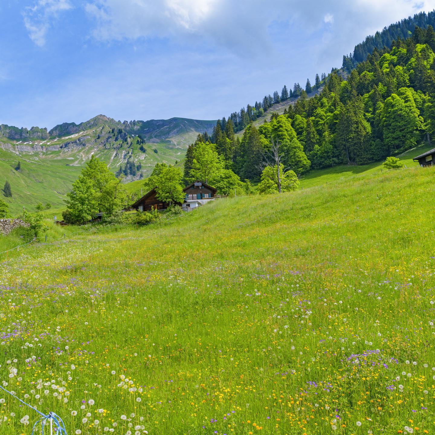 Valley Houses Trees Mountains Nature Landscape