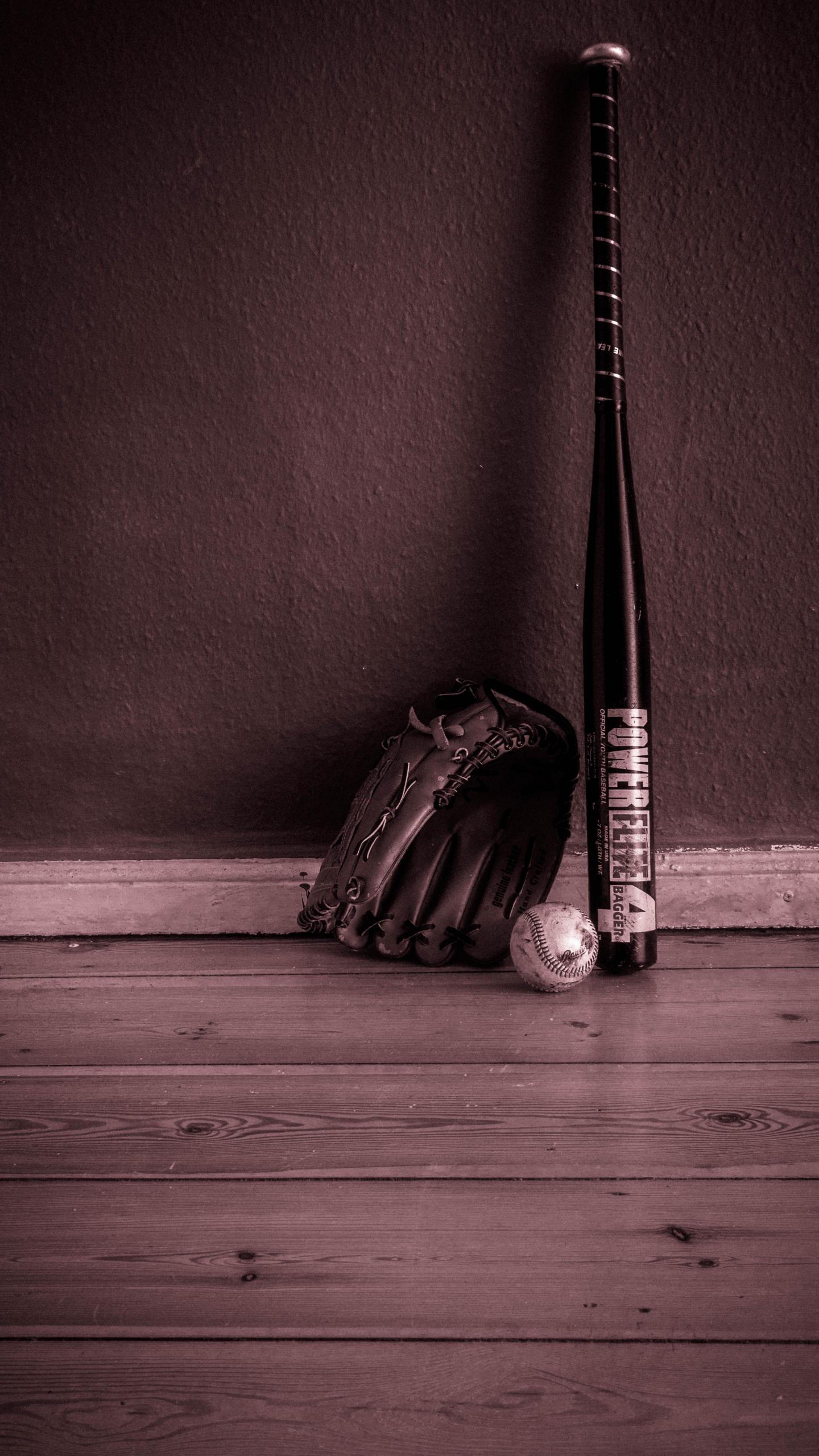 Baseball Bat Glove Inventory Sport