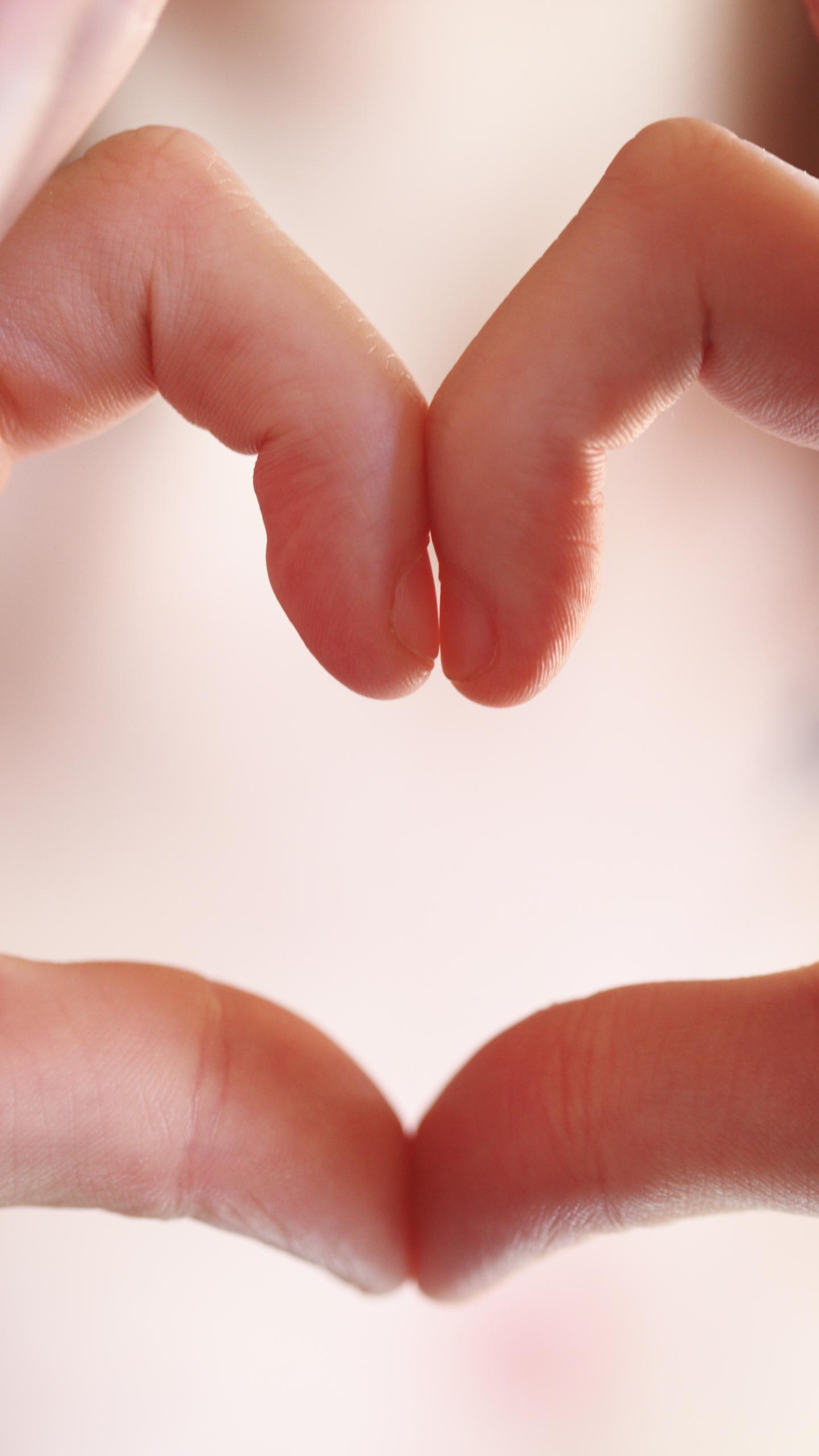 Hands Fingers Gesture Heart Love