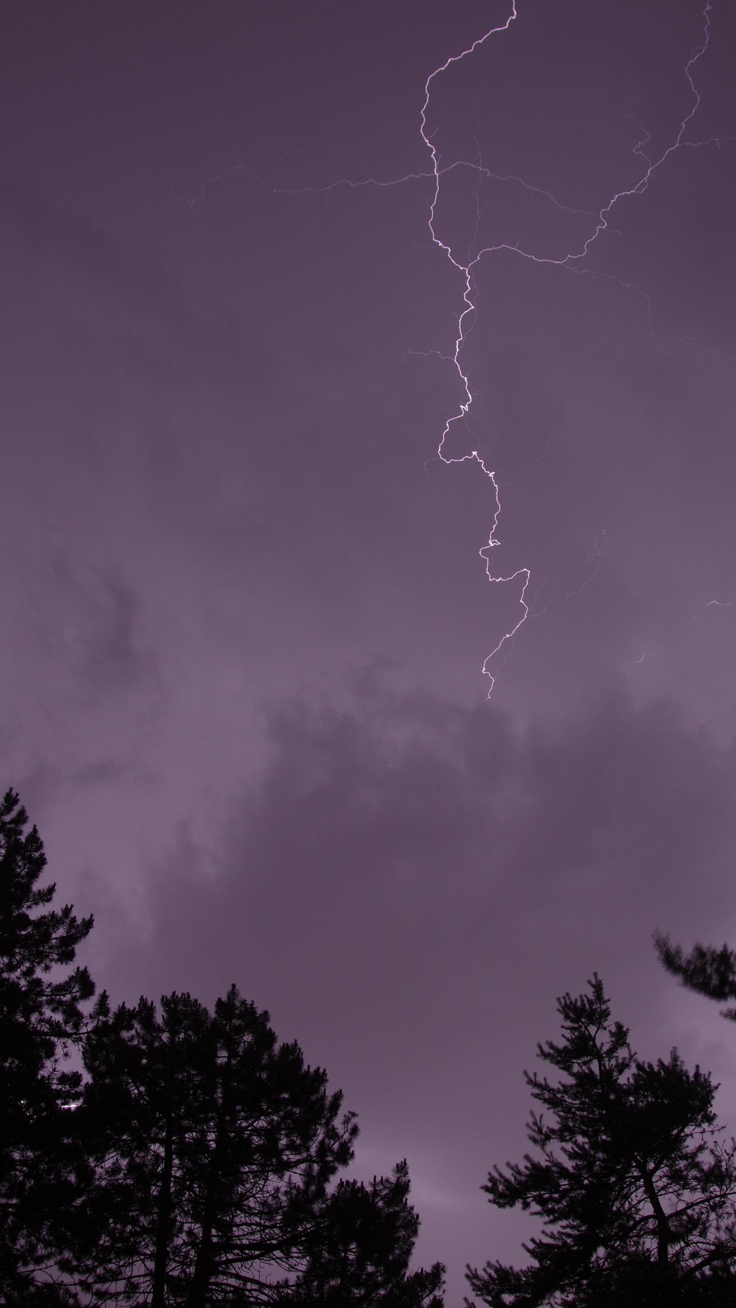 Trees Silhouettes Thunderstorm Lightning Dark