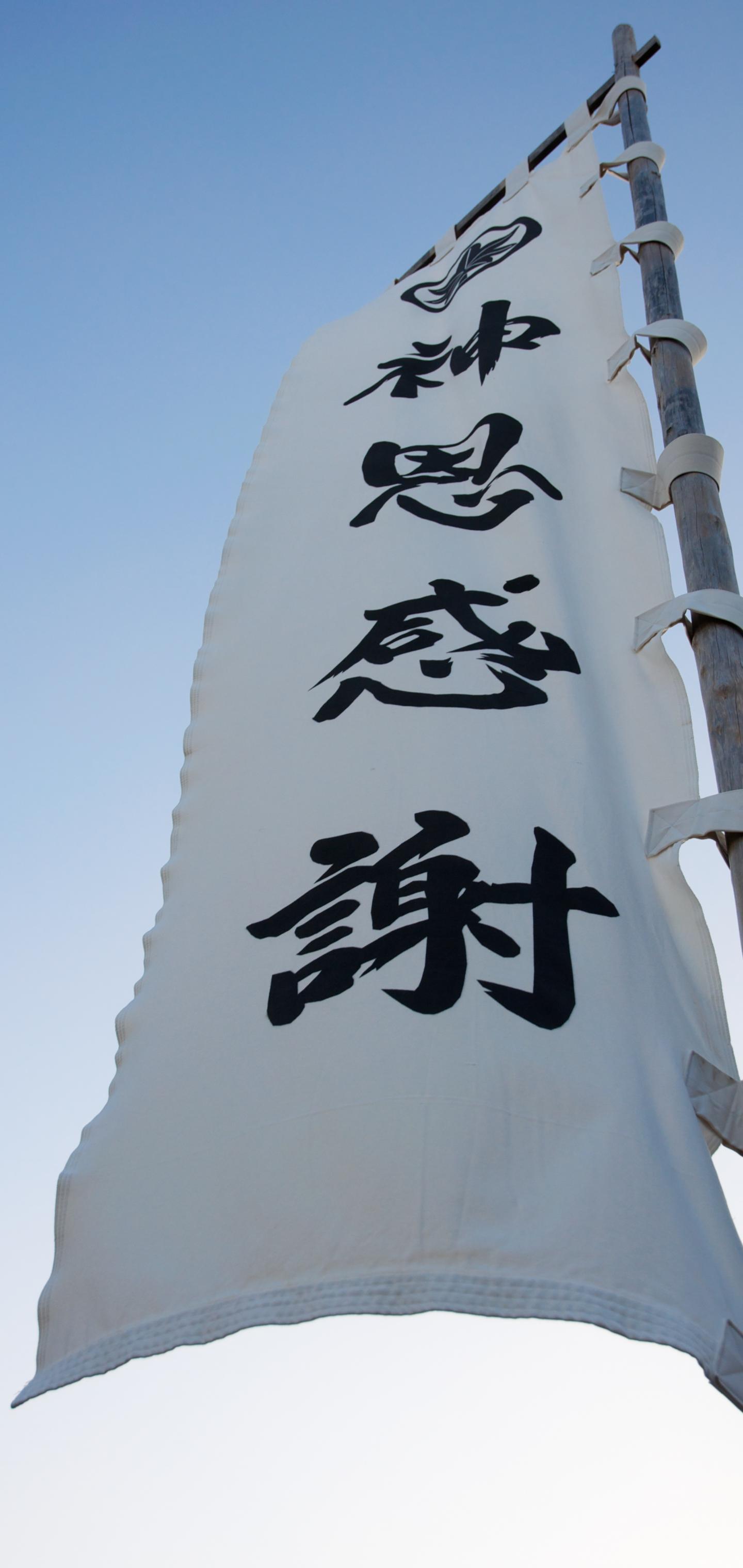 Flag Hieroglyphs Words Fabric Inscription Japan