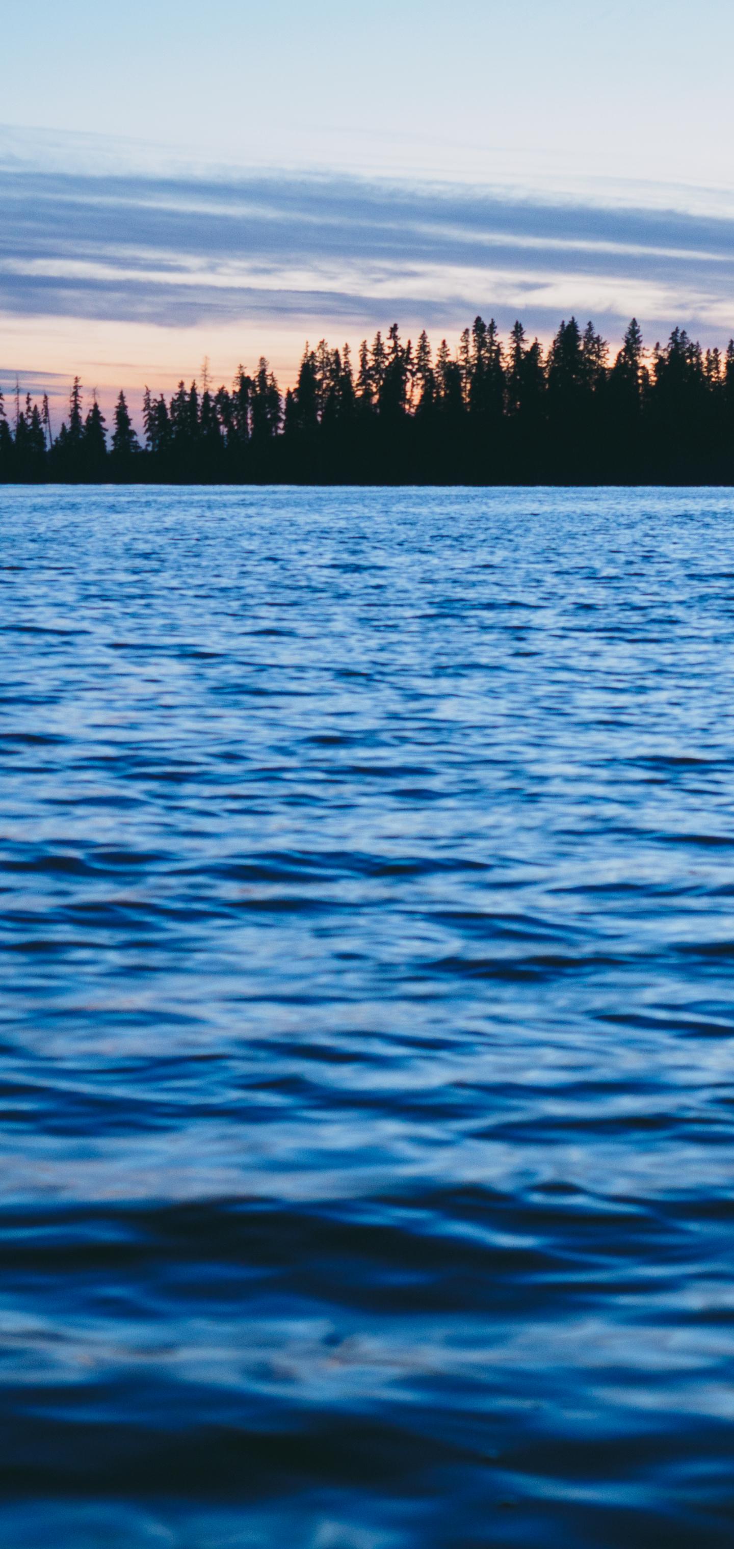 Forest Trees Silhouettes Water Waves Landscape