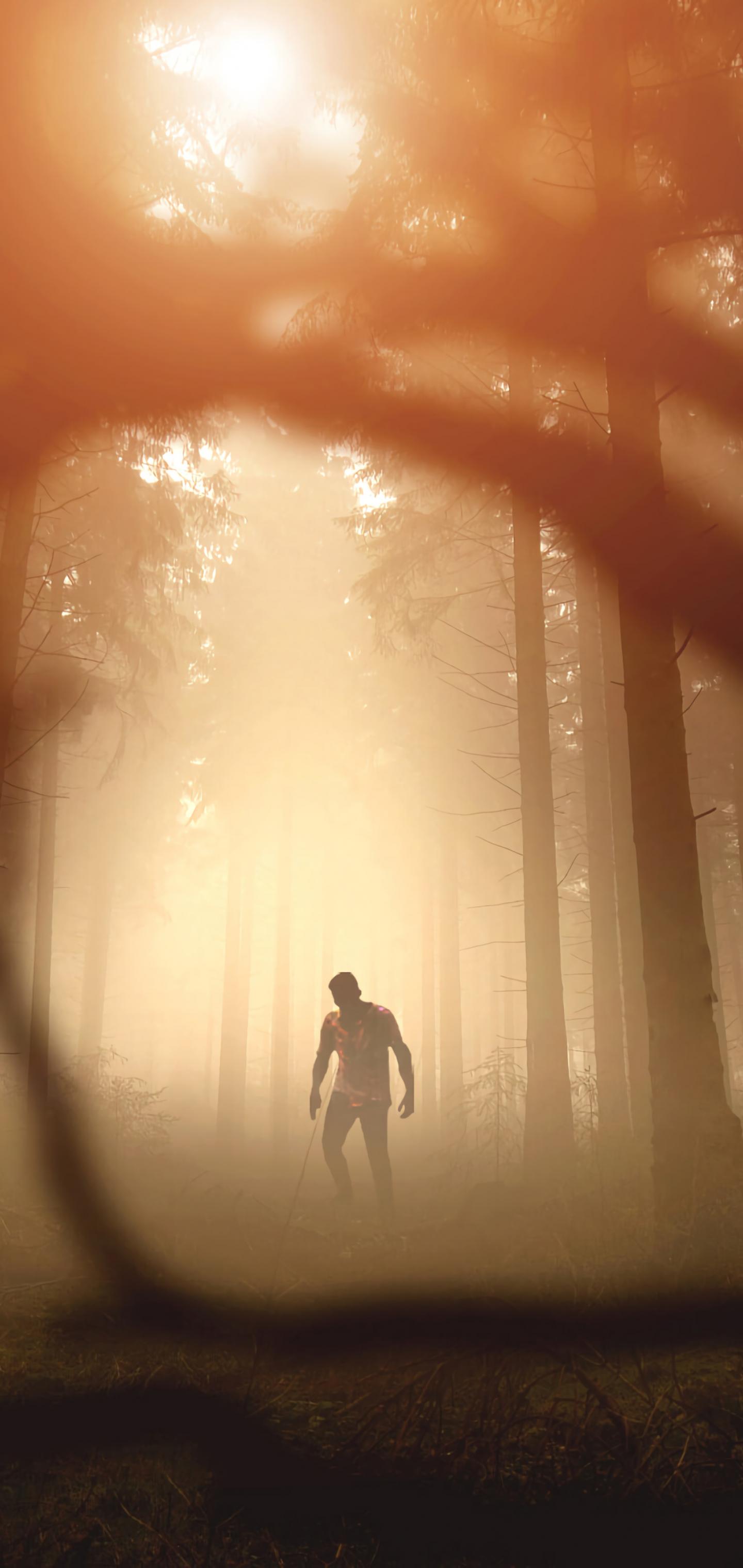 Zombie Silhouette Forest Trees Apocalypse Twilight