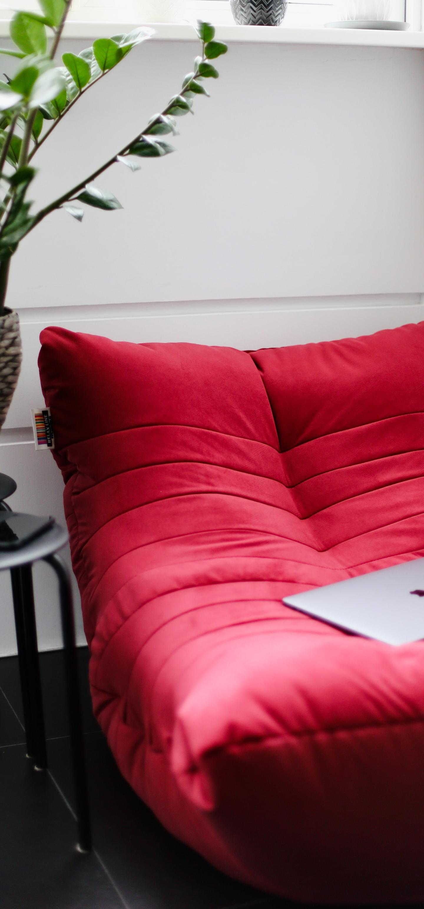 Sofa Laptop Room Interior