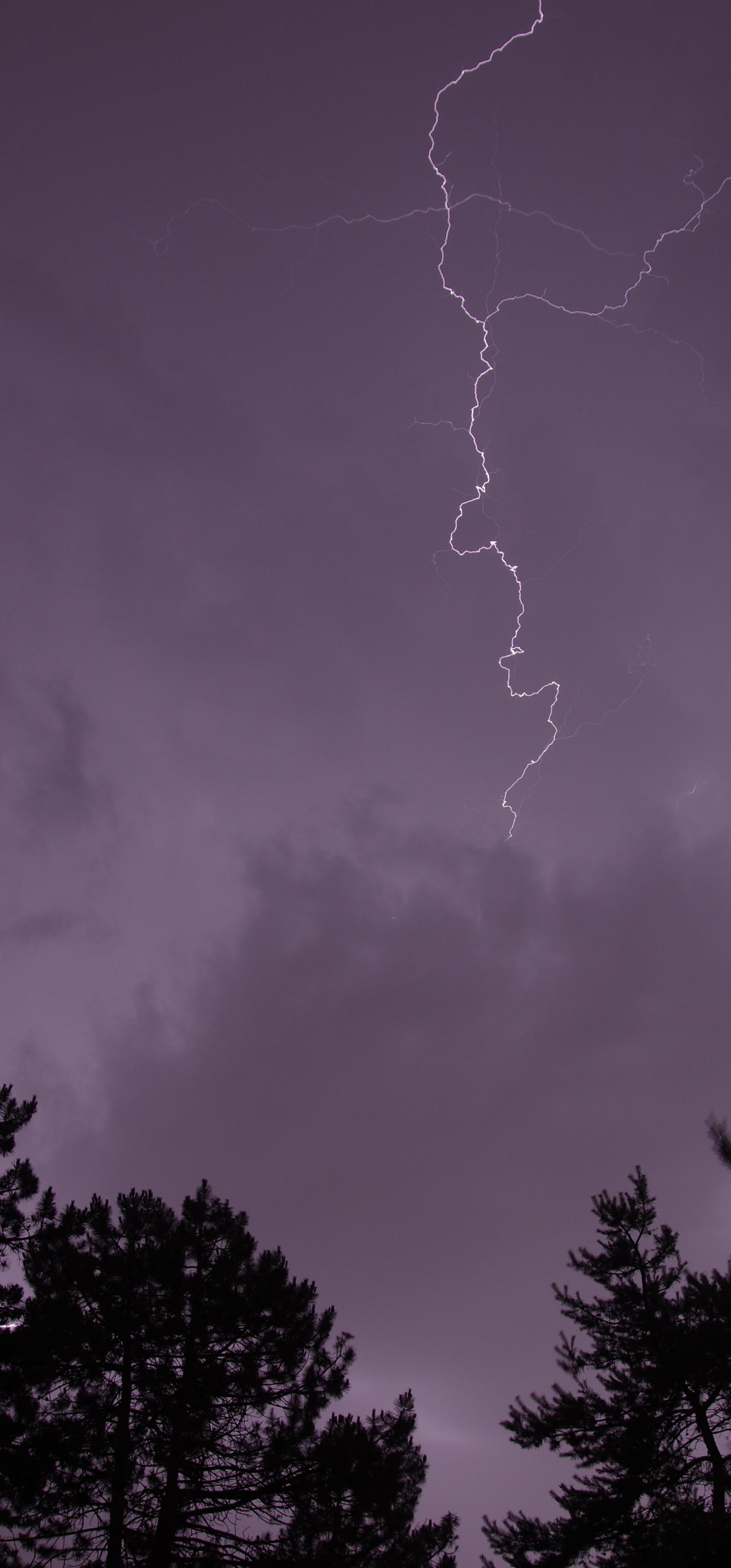 Trees Silhouettes Thunderstorm Lightning Dark