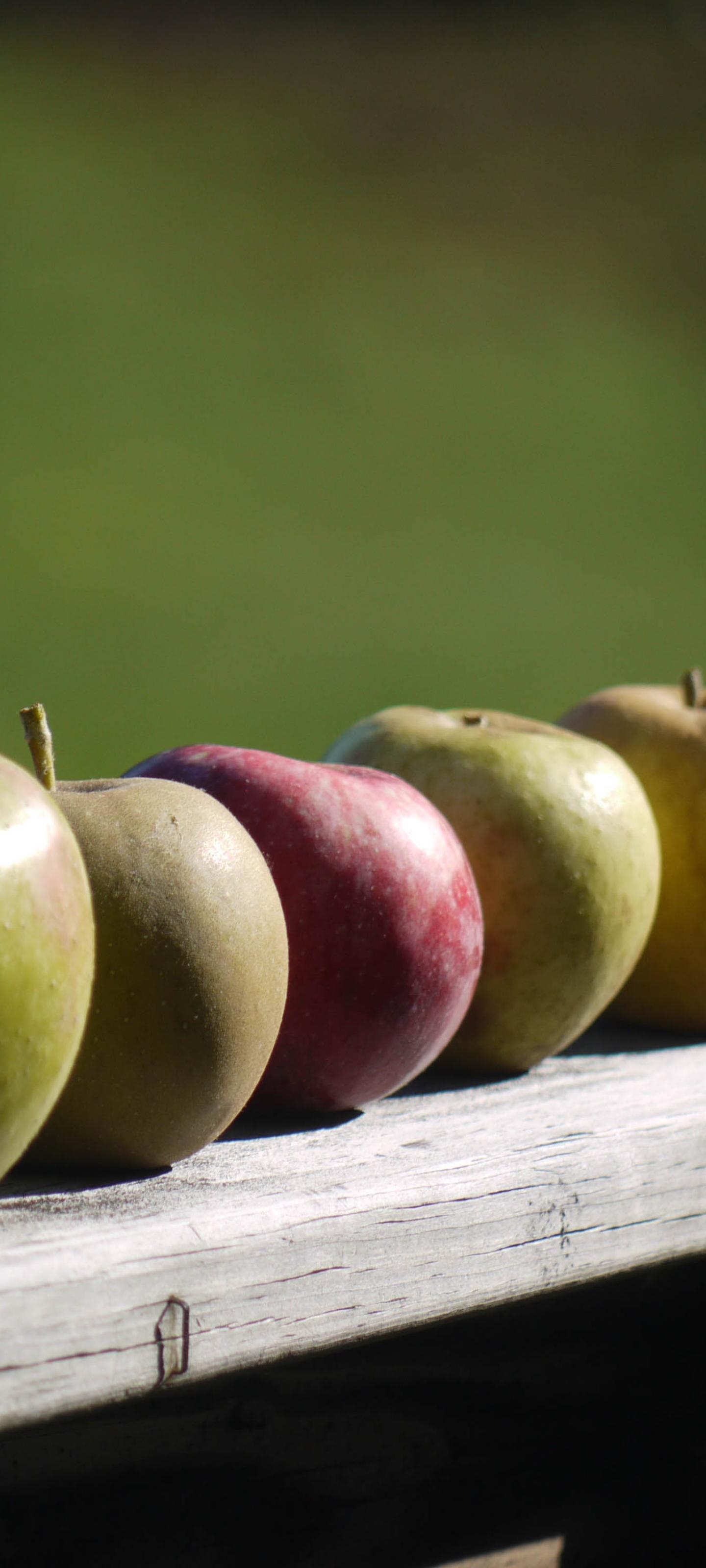 Apples Fruit Fresh Fence
