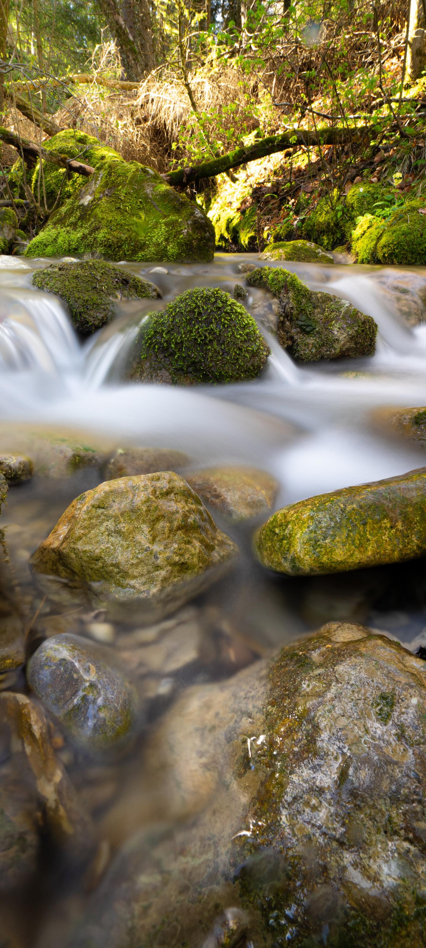 River Stream Stones Moss Water Long-exposure