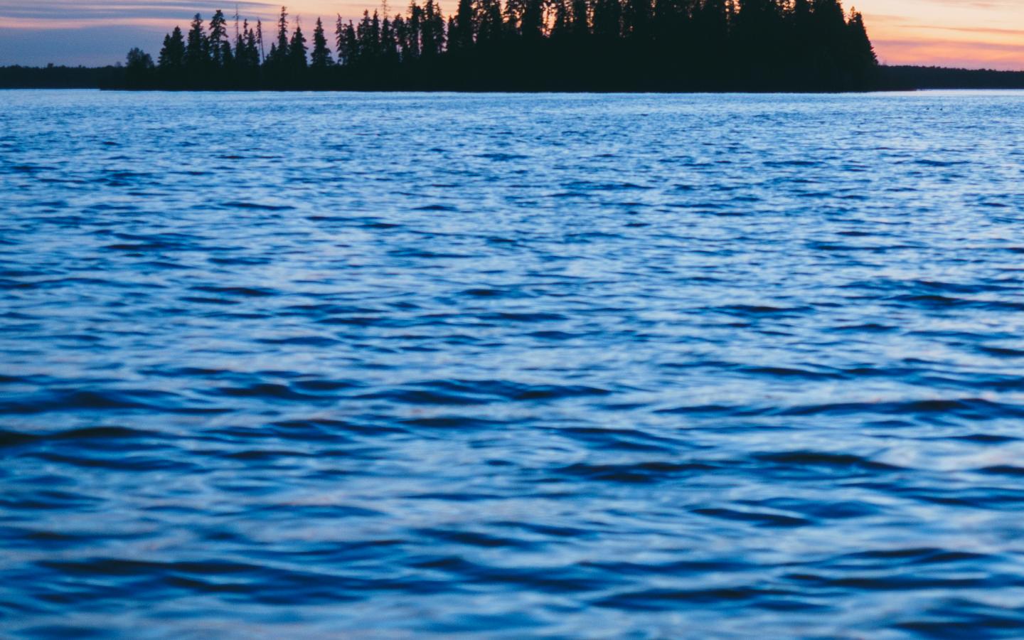 Forest Trees Silhouettes Water Waves Landscape