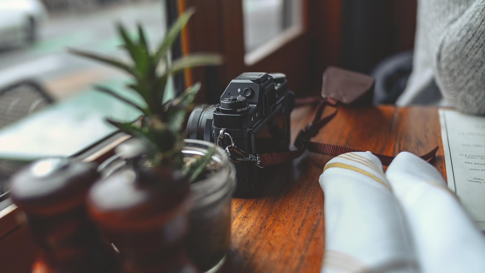 Camera Plants Table Aesthetics