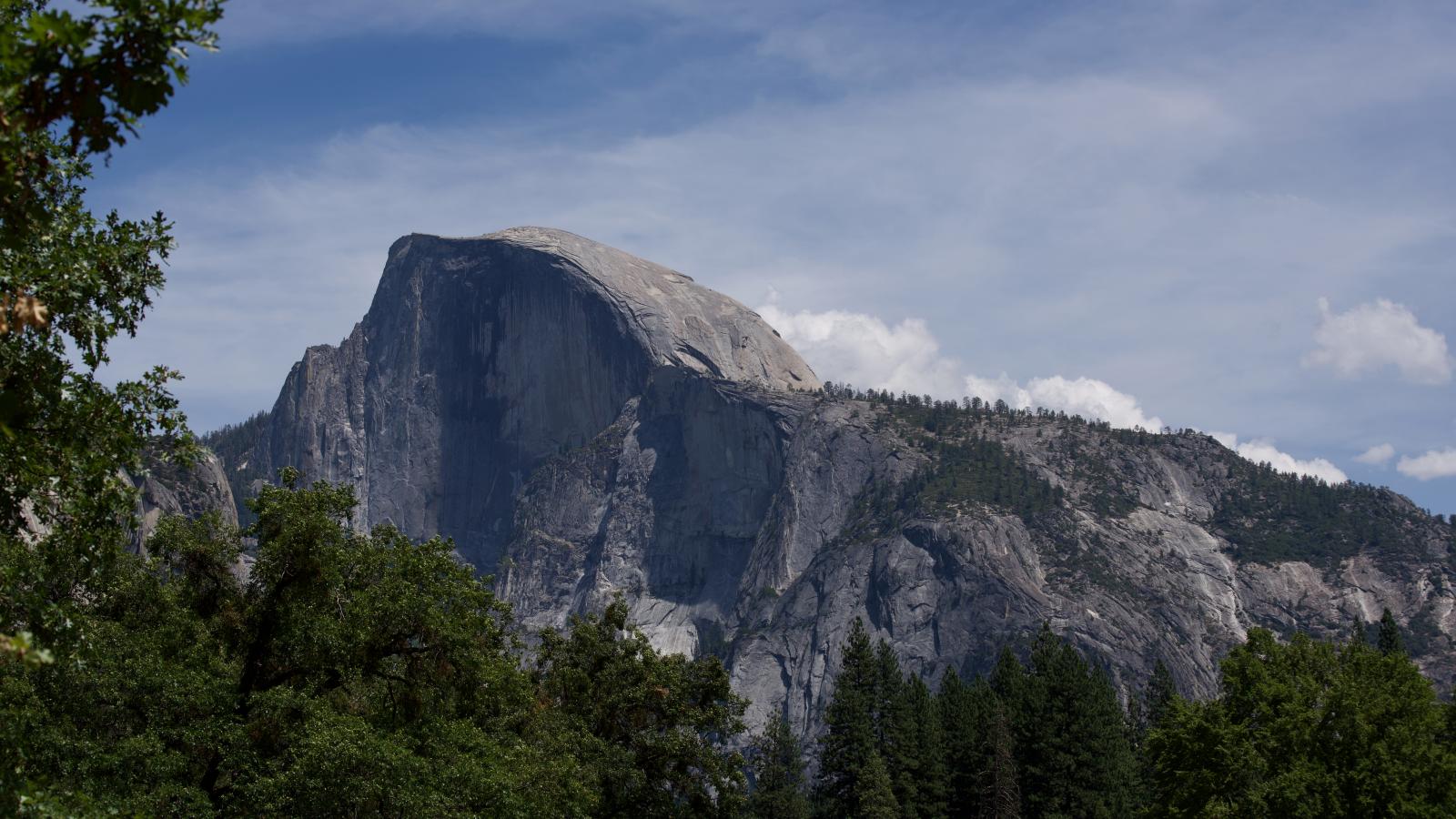 Rocks Trees Landscape