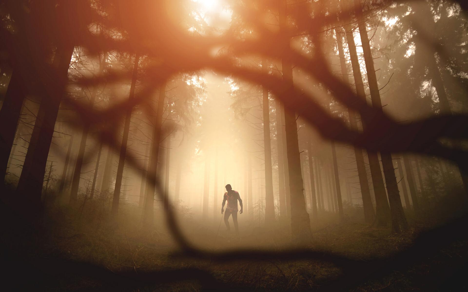 Zombie Silhouette Forest Trees Apocalypse Twilight