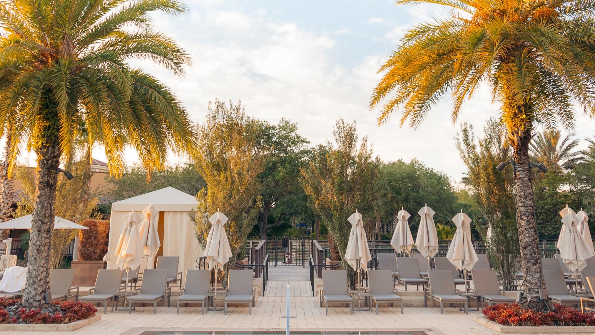 Pool Palm-trees Sun-loungers Vacation Summer