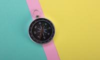 Compass Navigation Wind-rose