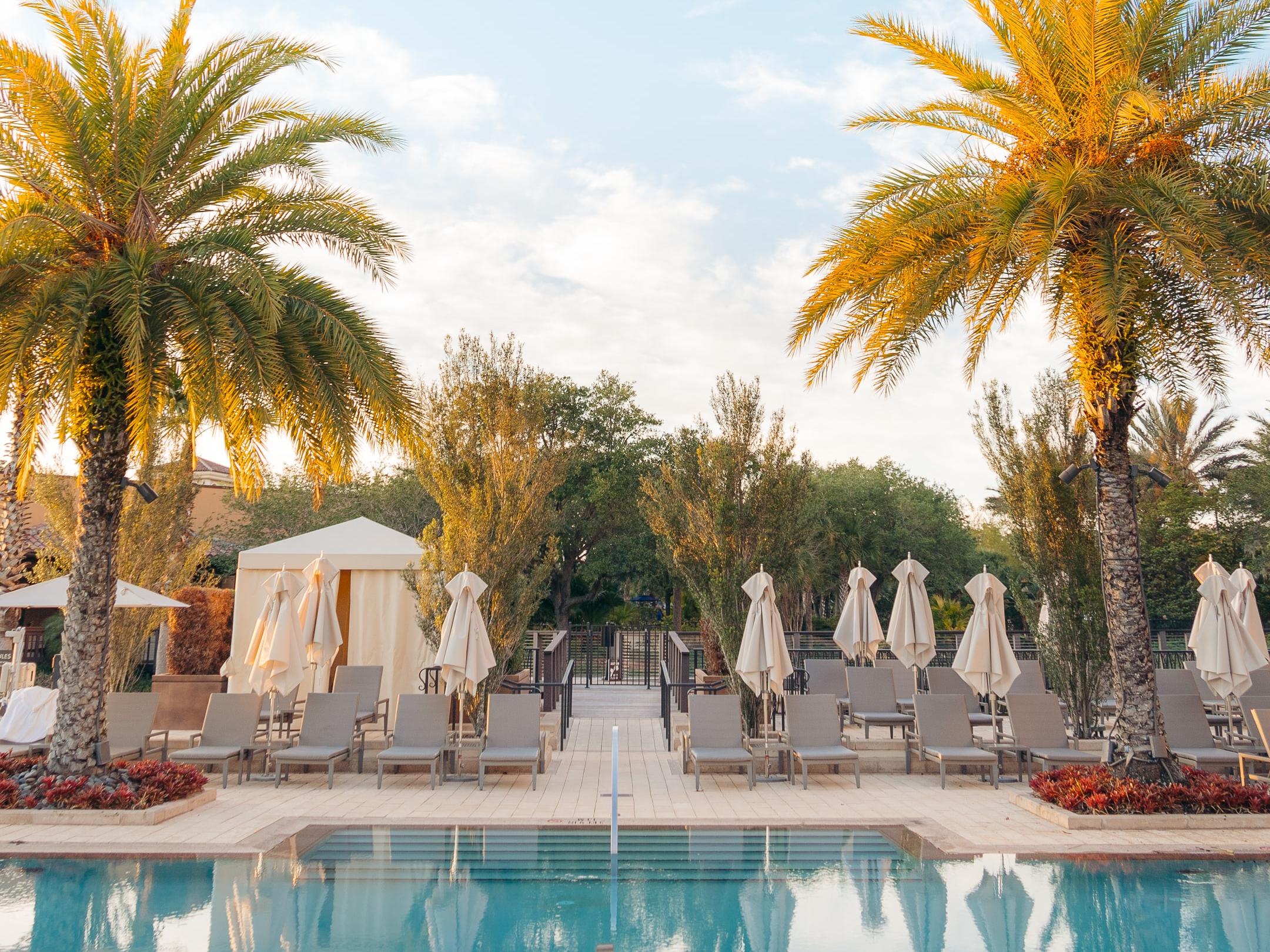 Pool Palm-trees Sun-loungers Vacation Summer