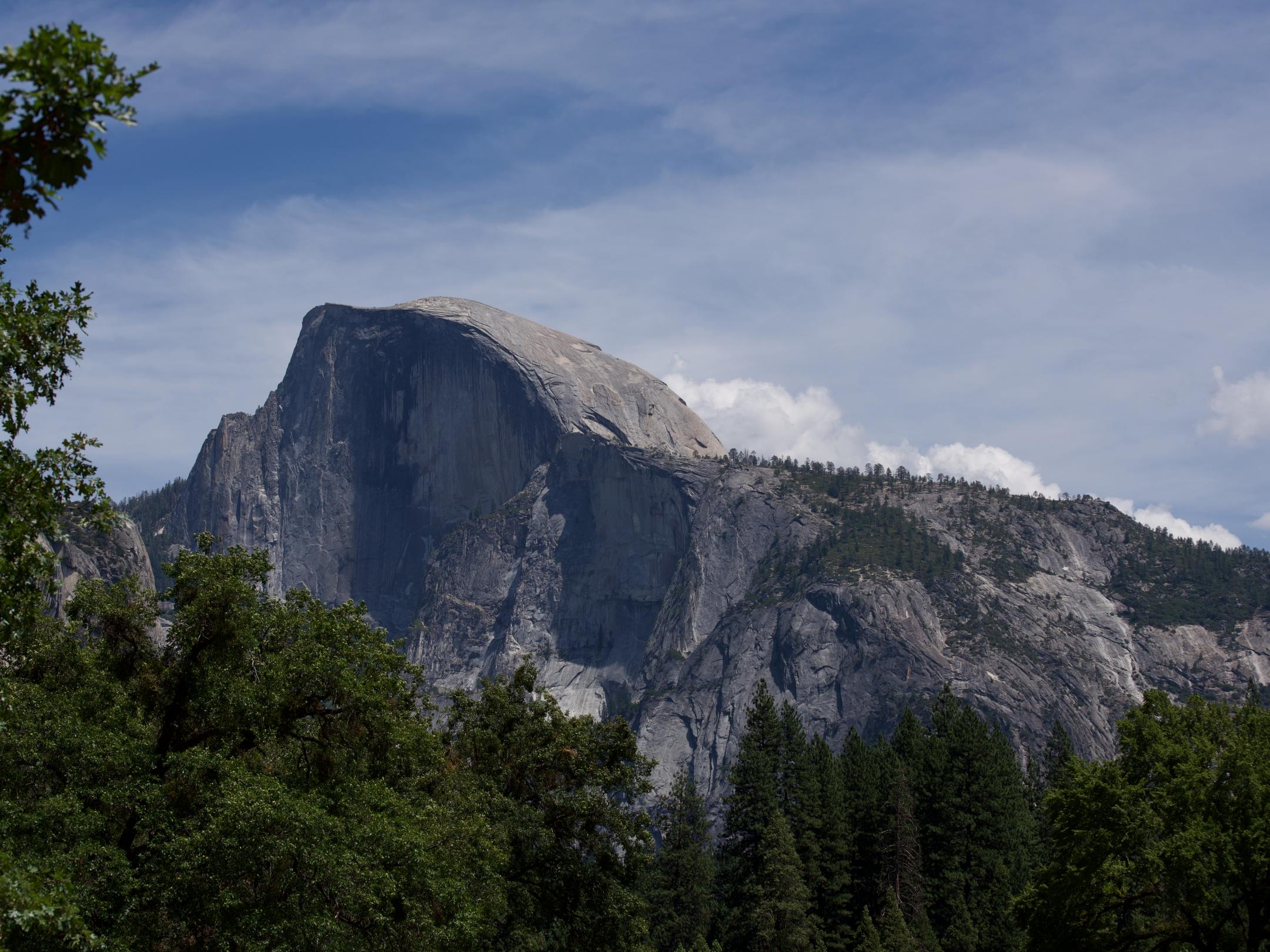 Rocks Trees Landscape