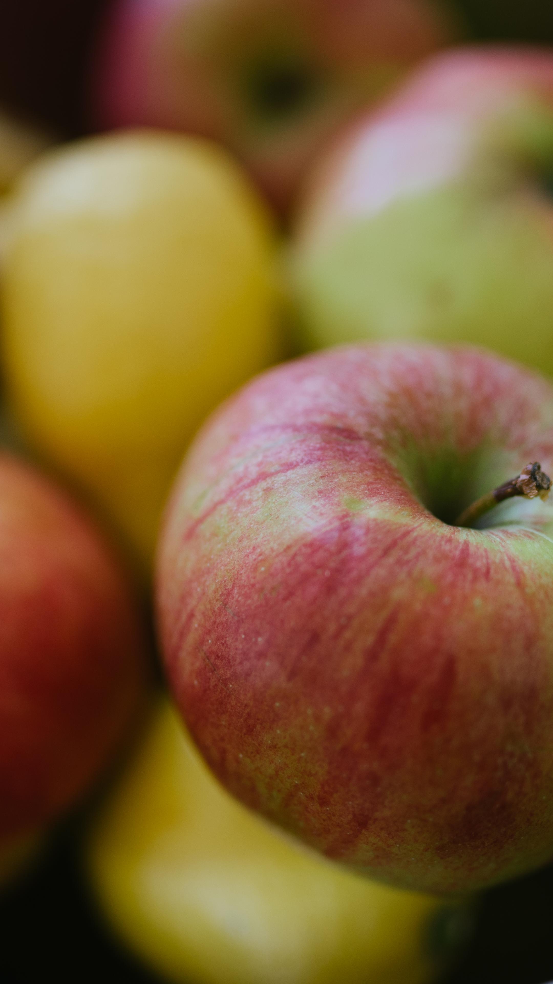 Apples Fruit Fresh Bowl
