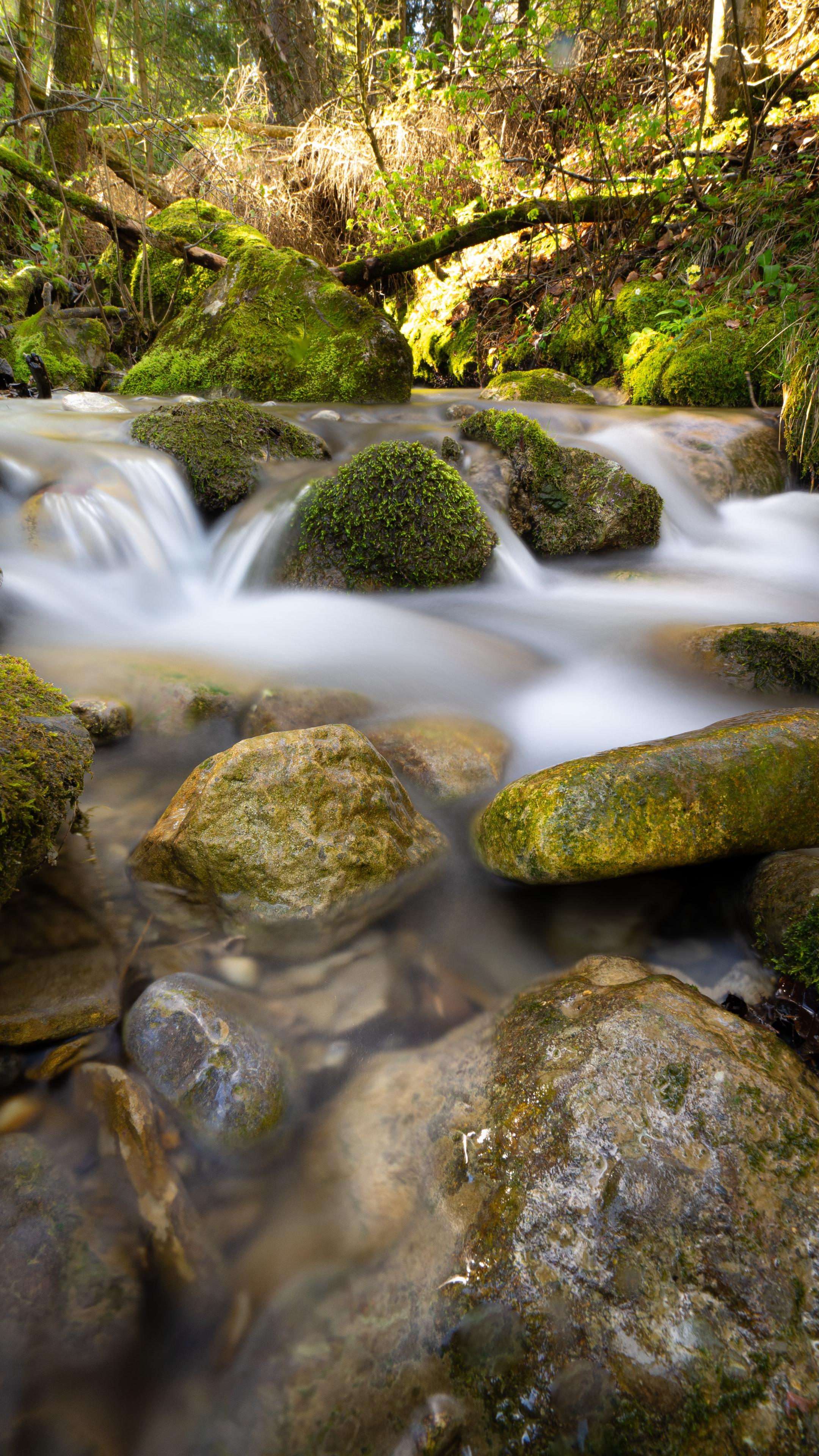 River Stream Stones Moss Water Long-exposure