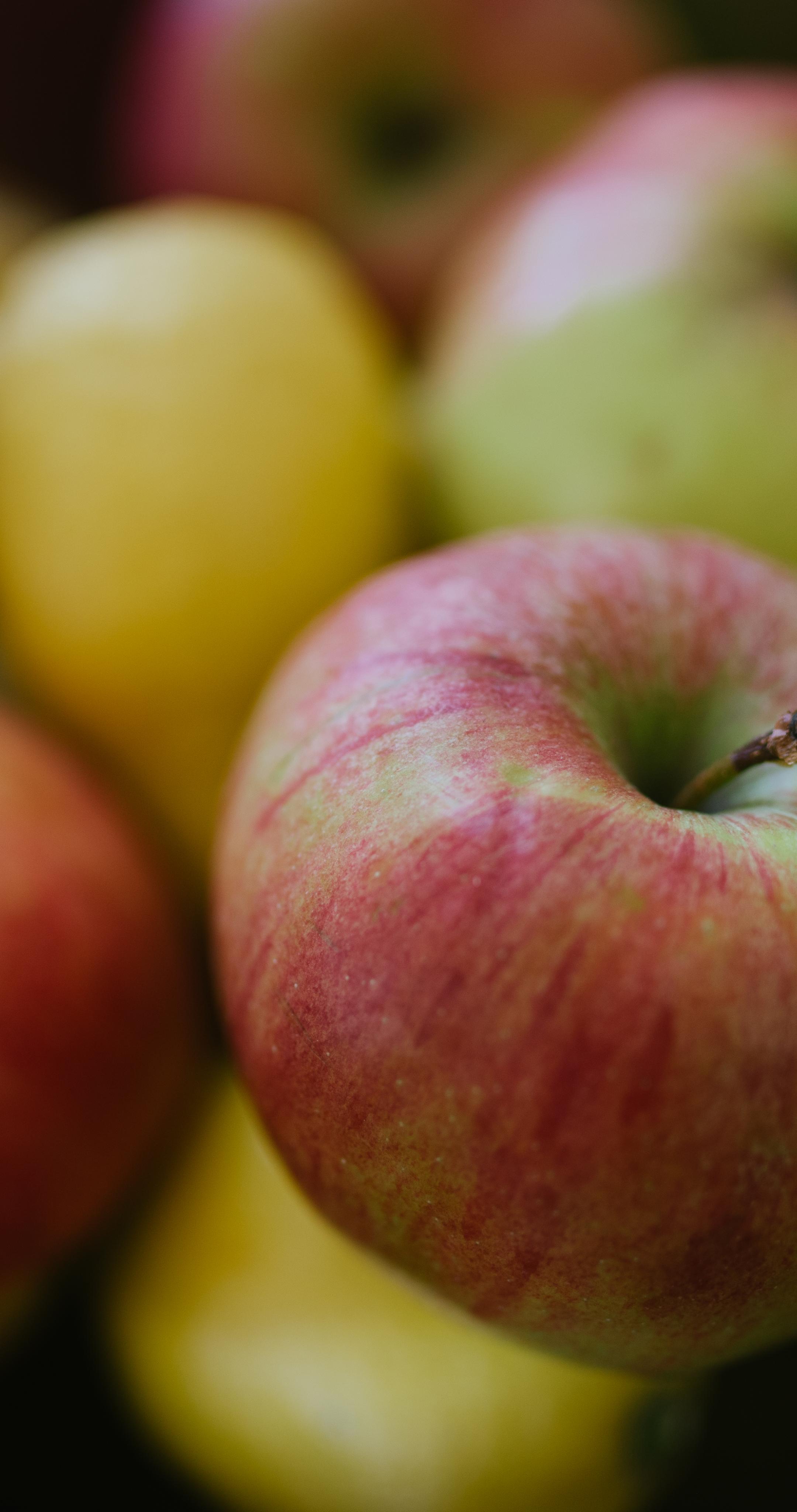 Apples Fruit Fresh Bowl